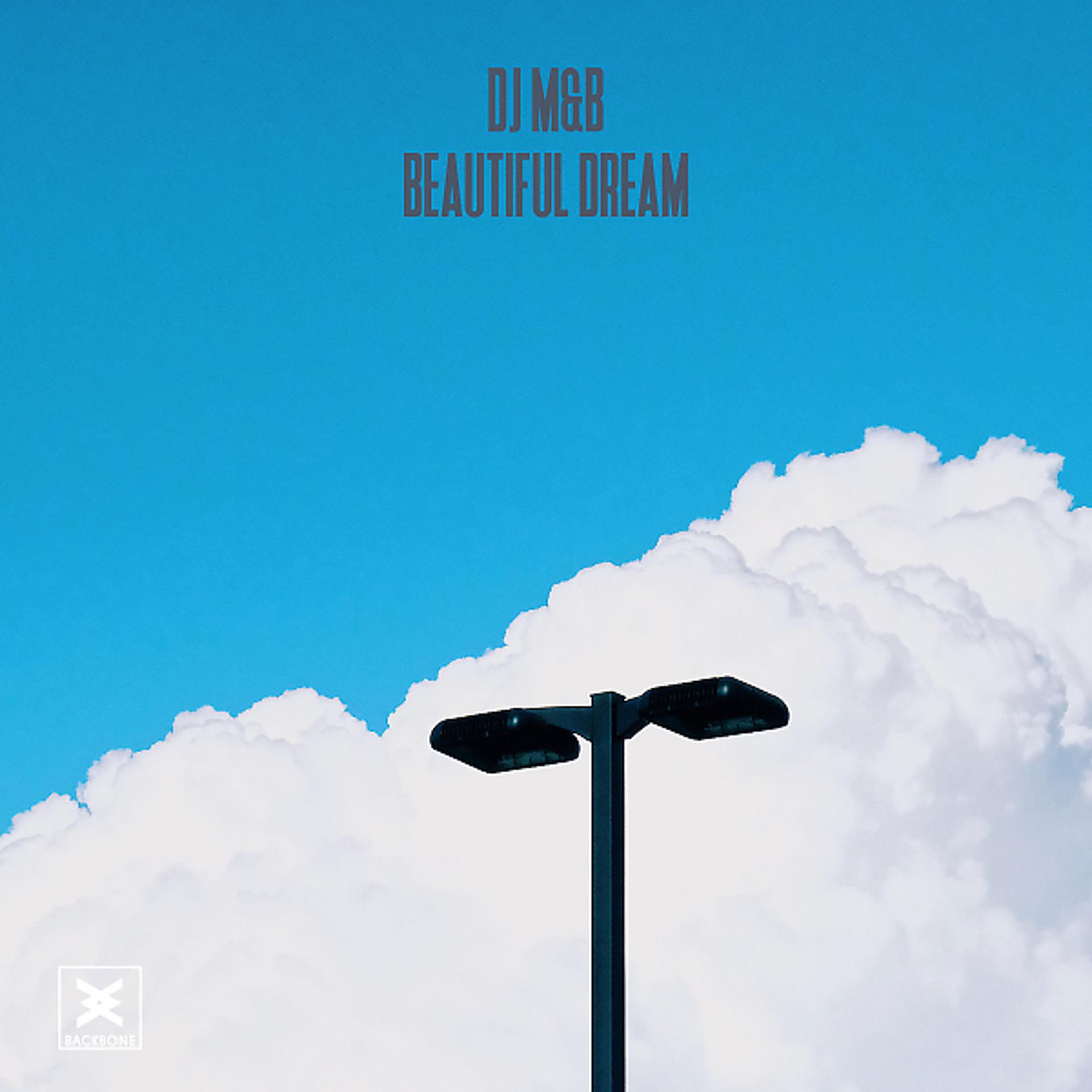 Постер альбома Beautiful Dream