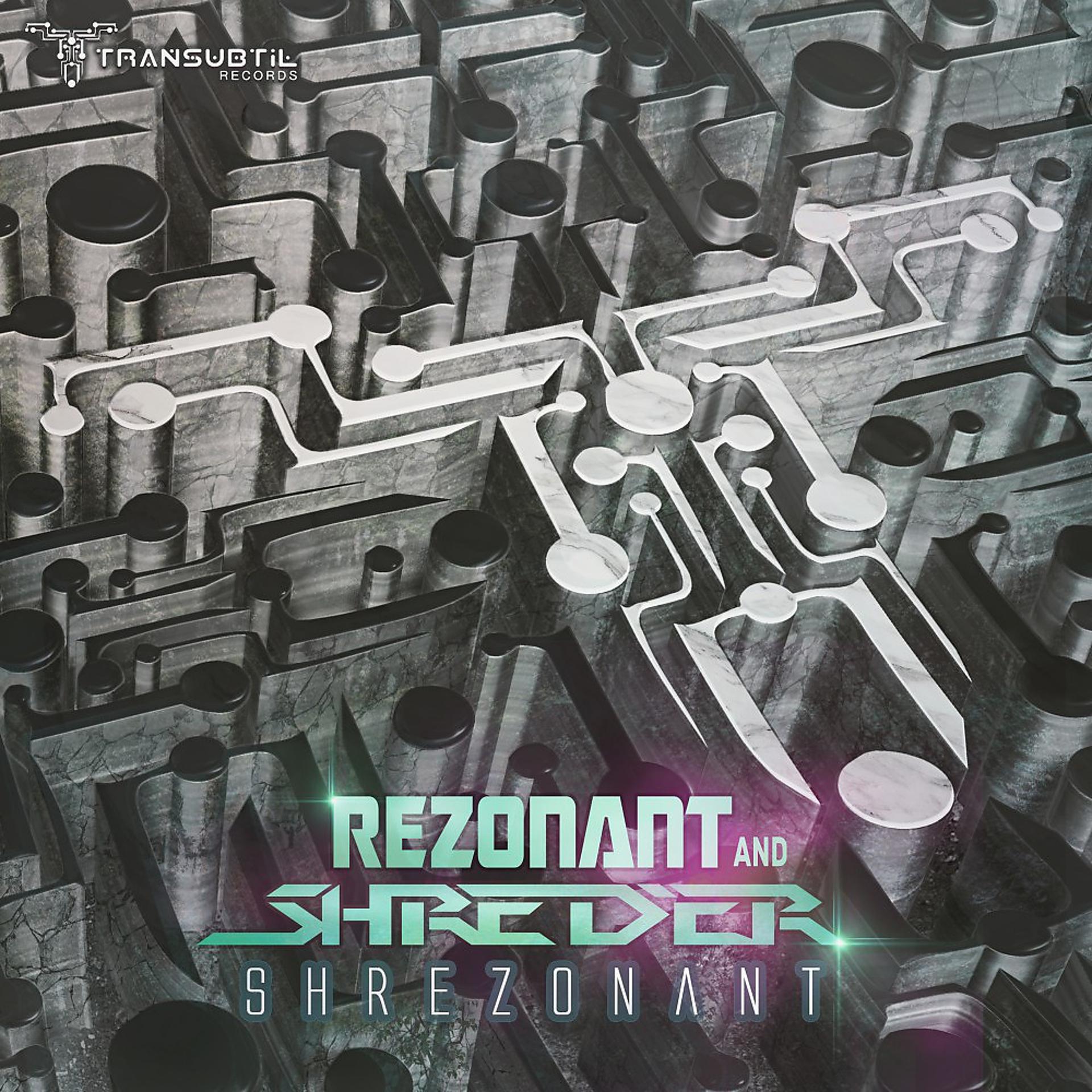 Постер альбома Shrezonant