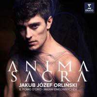 Постер альбома Anima Sacra