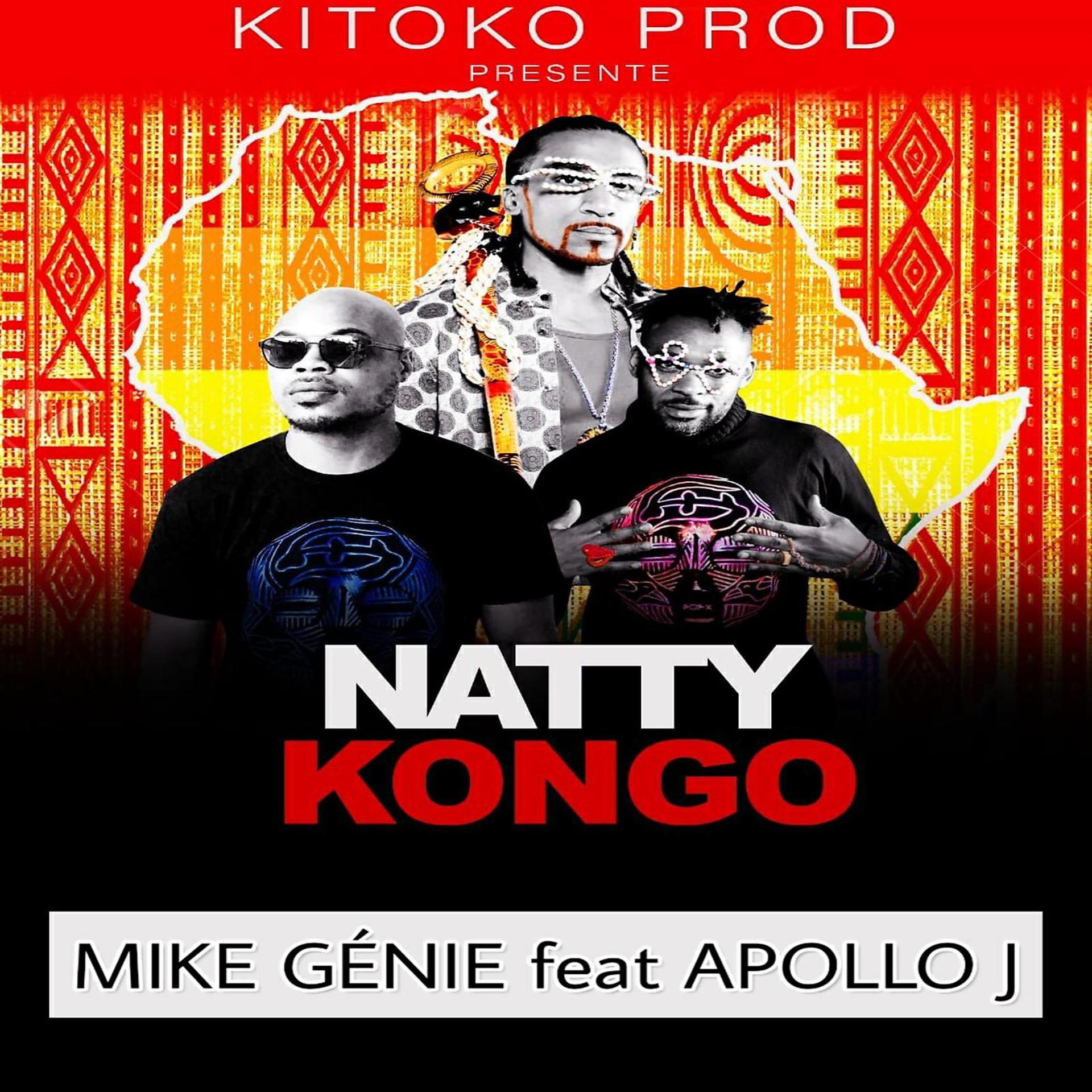 Постер альбома Natty kongo