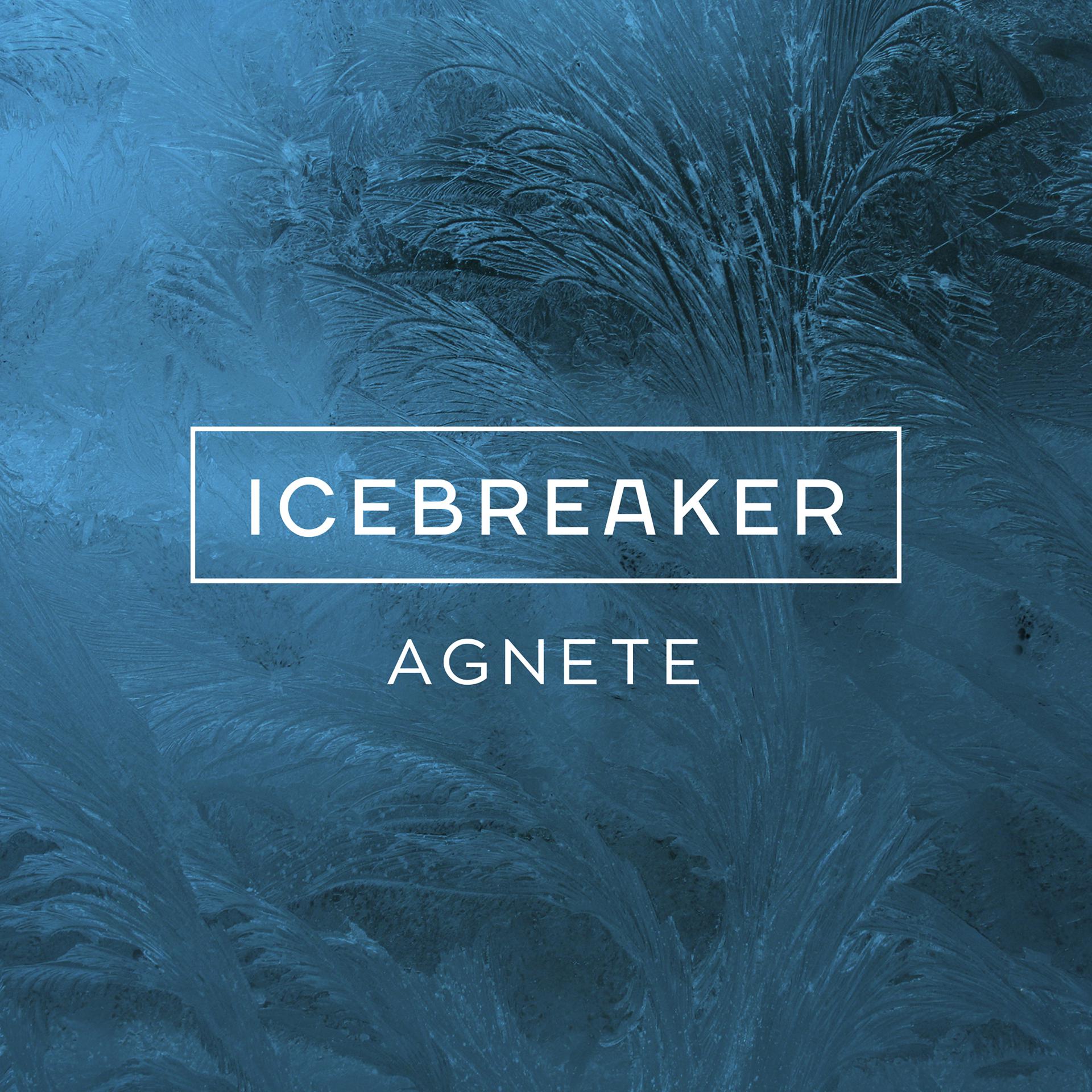 Постер альбома Icebreaker