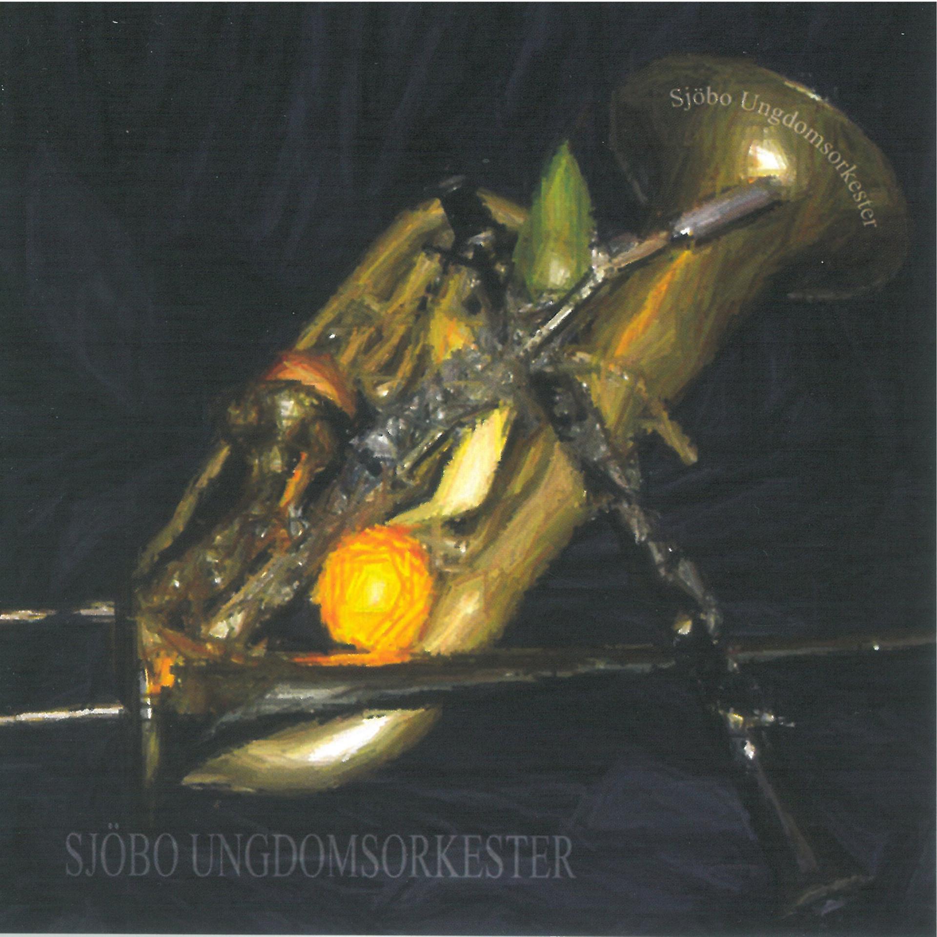 Постер альбома Sjöbo Ungdomsorkester 2004