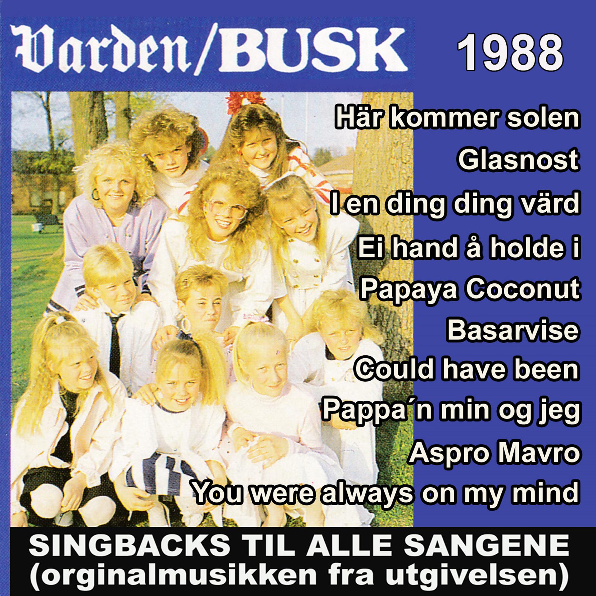 Постер альбома Varden /Busk 1988