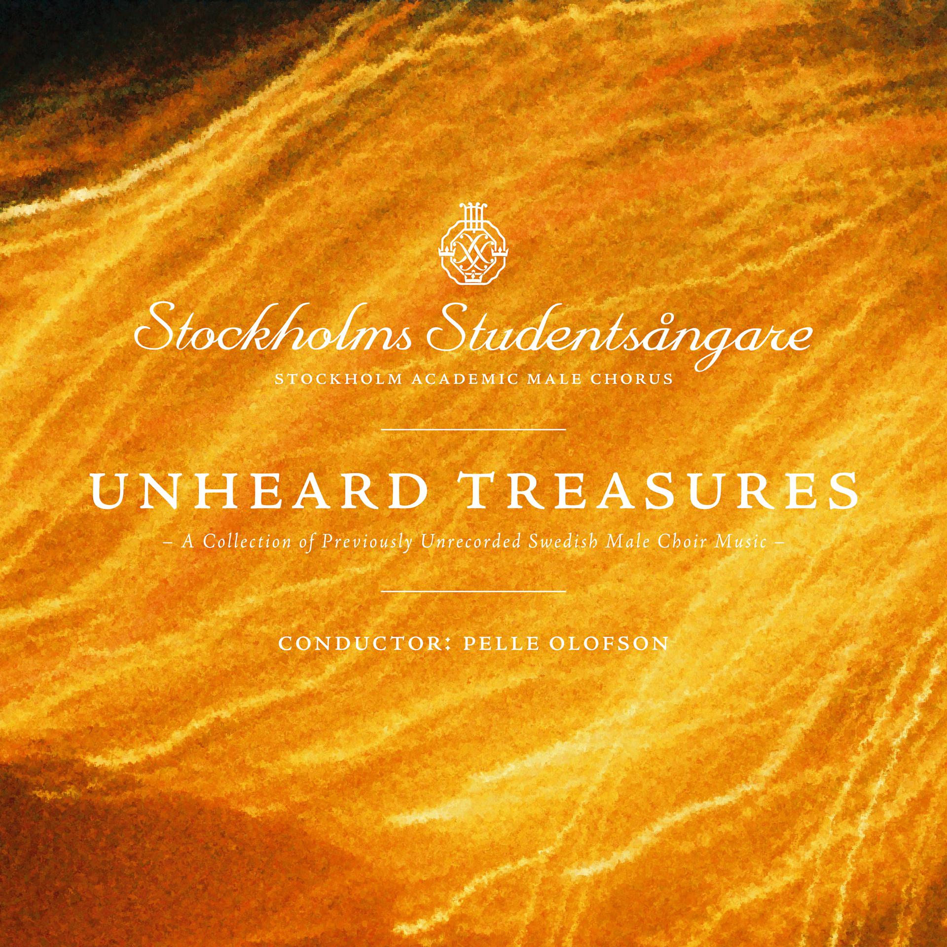 Постер альбома Unheard Treasures