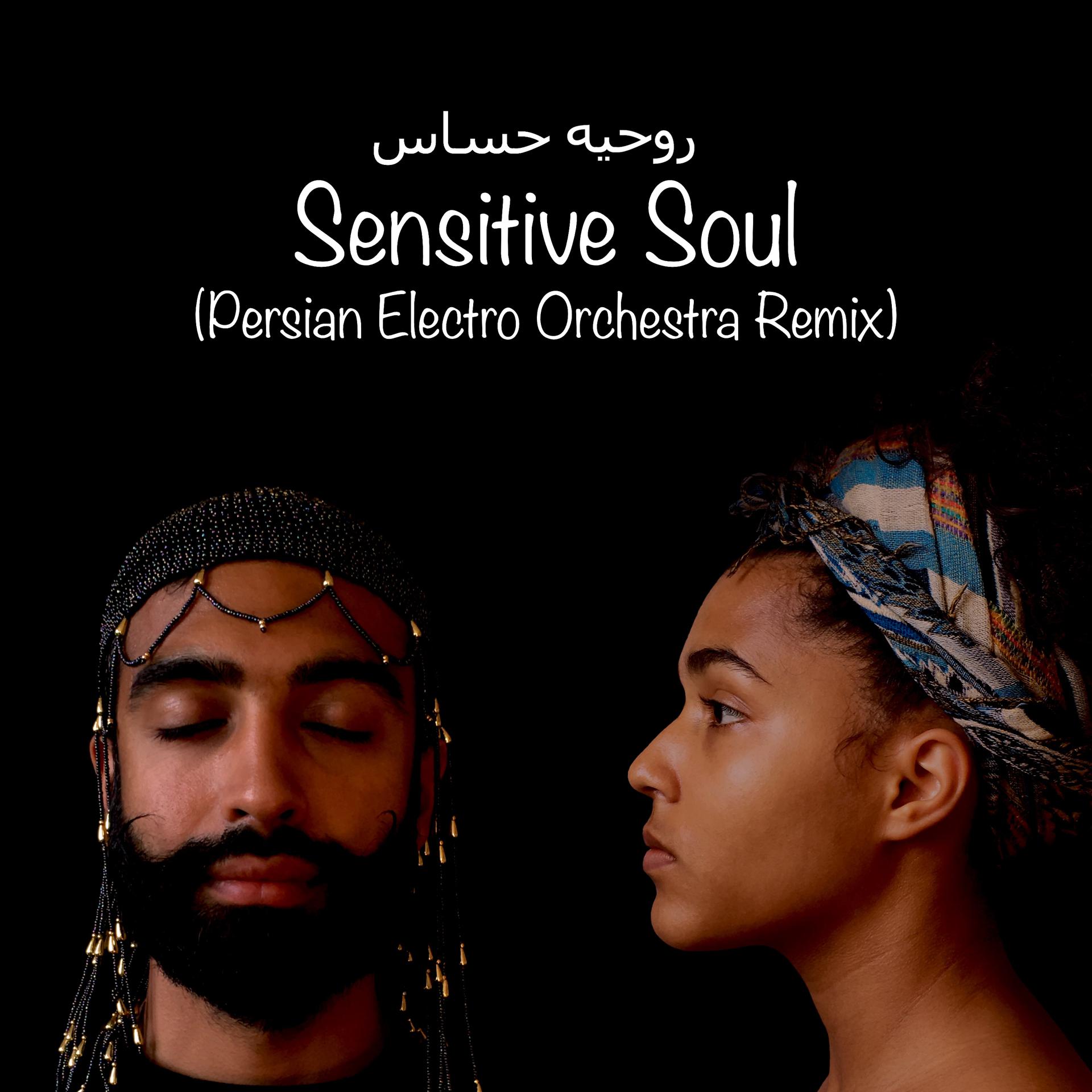 Постер альбома Sensitive Soul