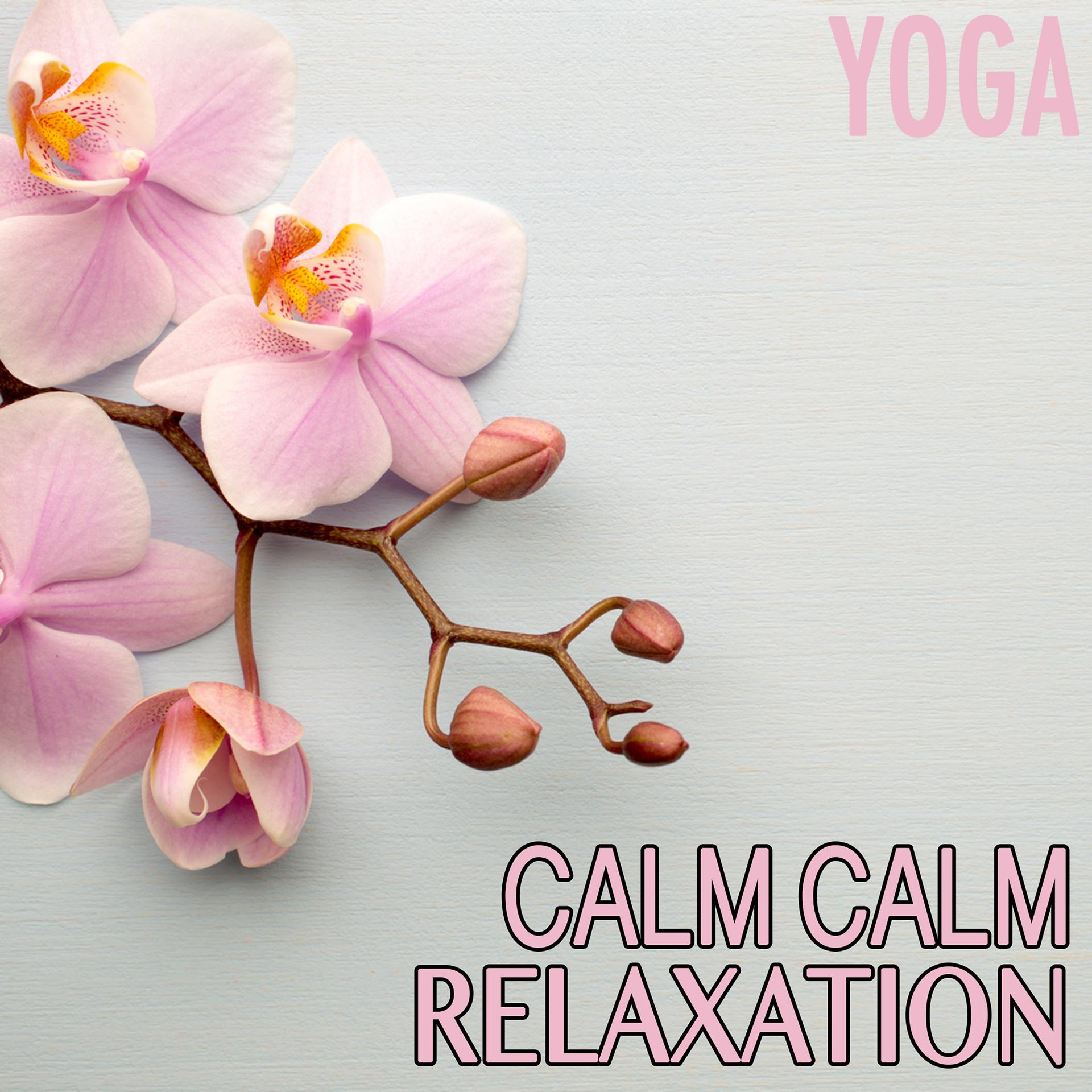 Постер альбома Calm Calm Relaxation