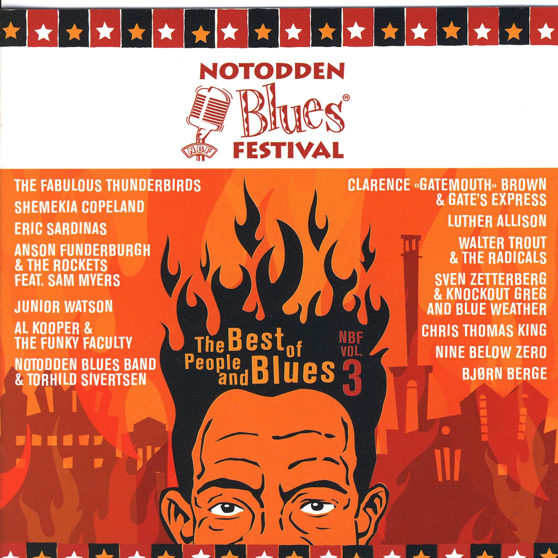 Постер альбома Notodden Blues Festival-The Best of People and Blues-Nbf Vol. 3