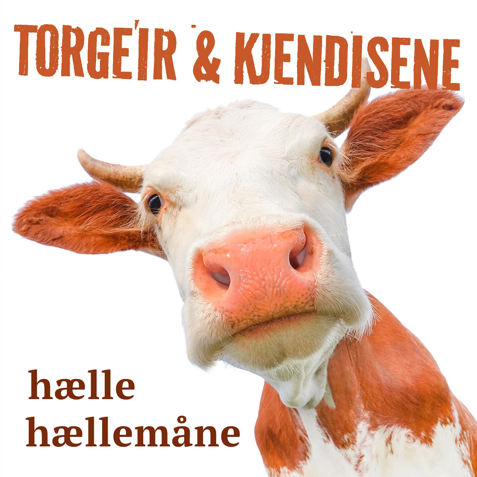 Постер альбома Hælle hællemåne