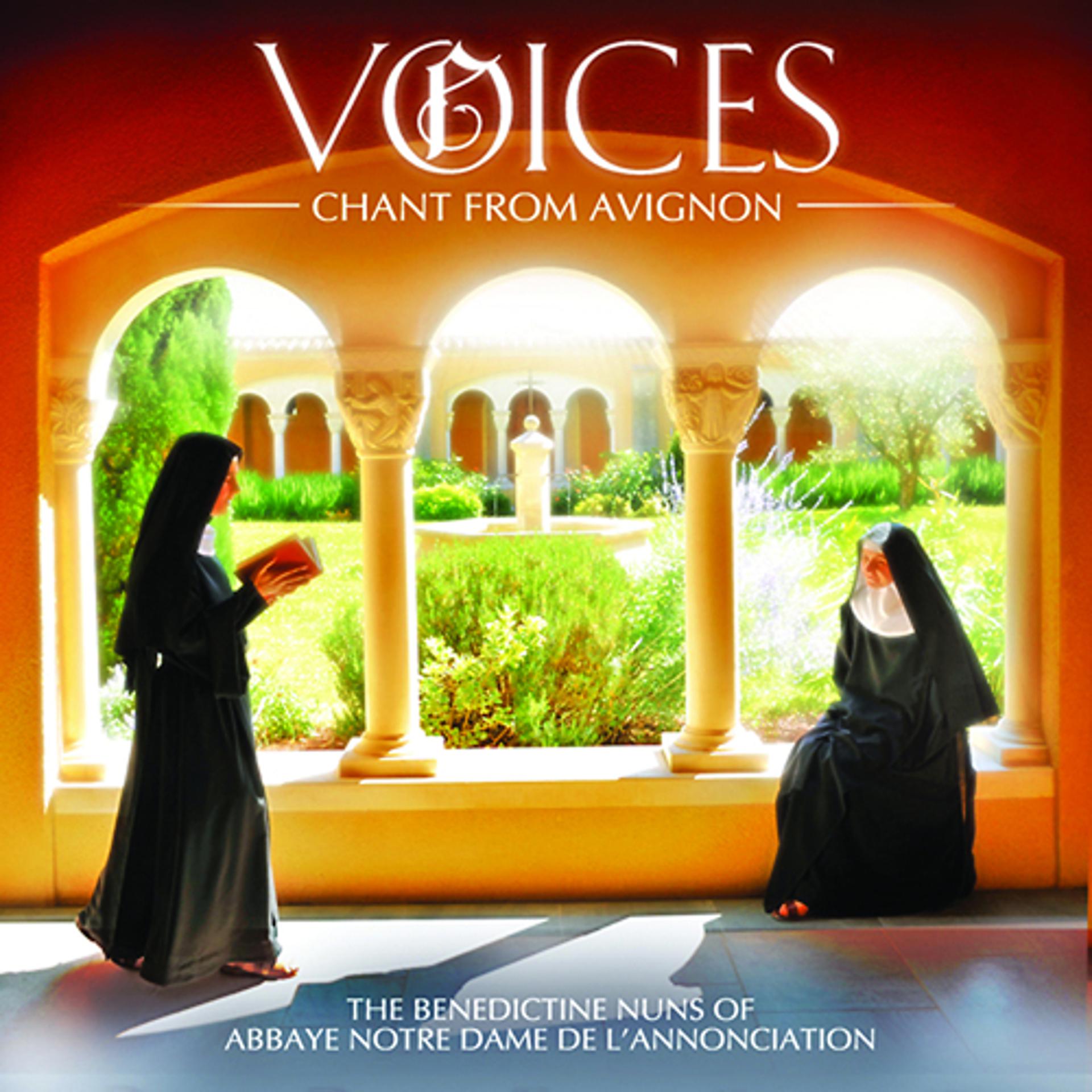 Постер альбома Voices: Chant From Avignon