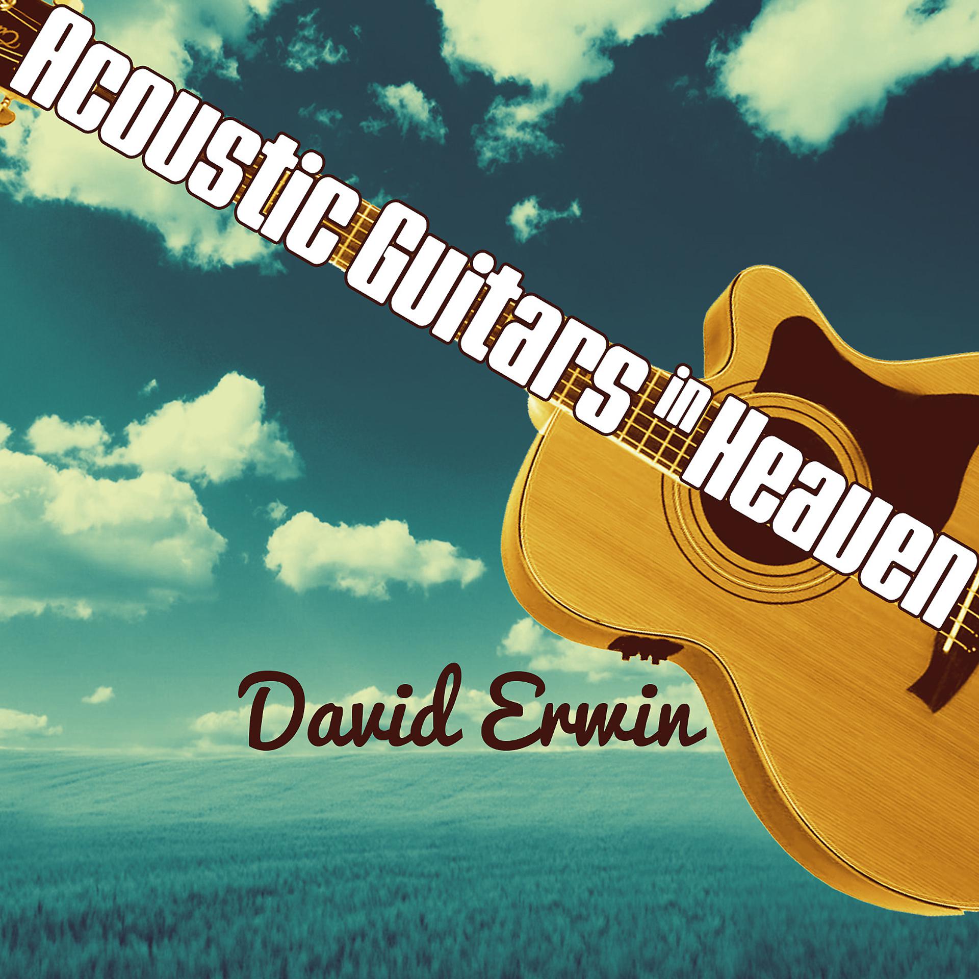 Постер альбома Acoustic Guitars in Heaven