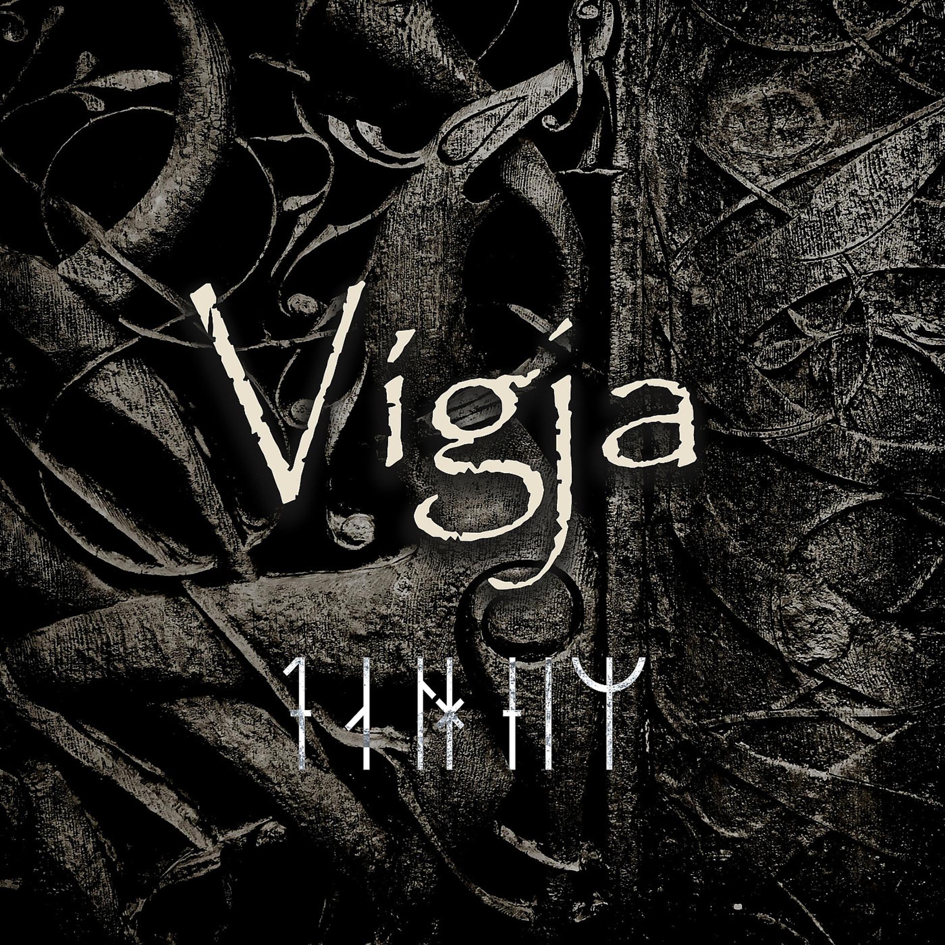 Постер альбома Vigja