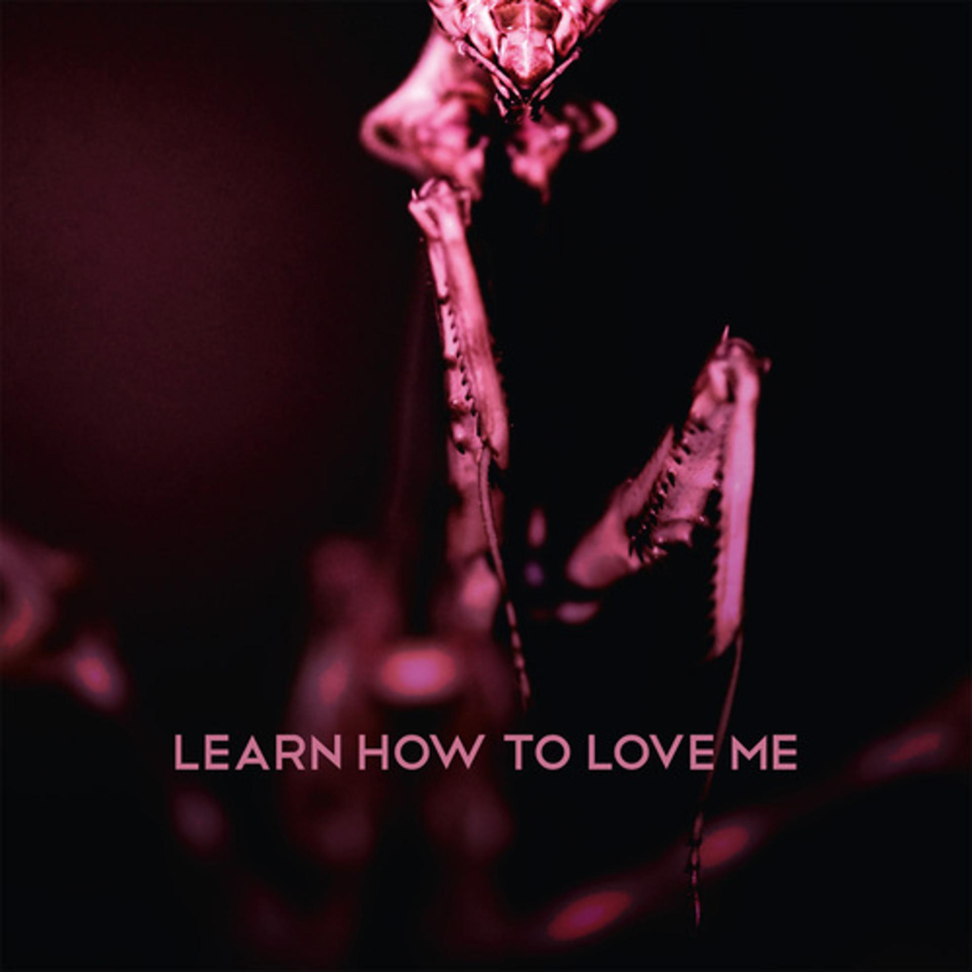 Постер альбома Learn How To Love Me