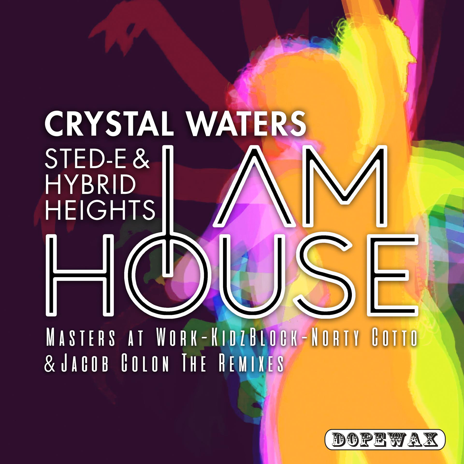 Постер альбома I Am House (The Remixes)