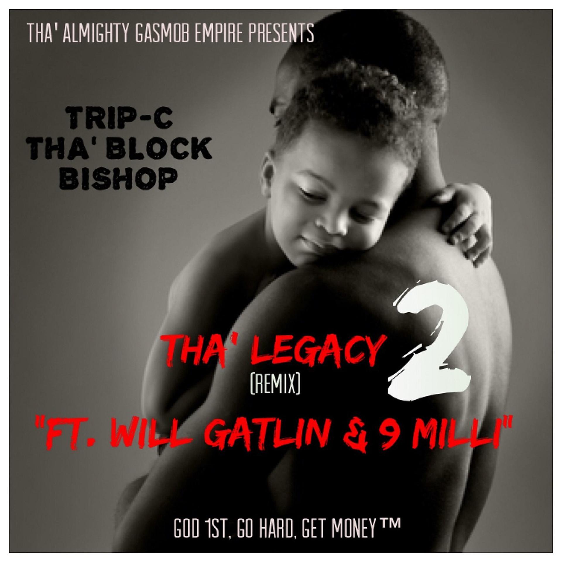 Постер альбома Tha Legacy 2 (Remix)