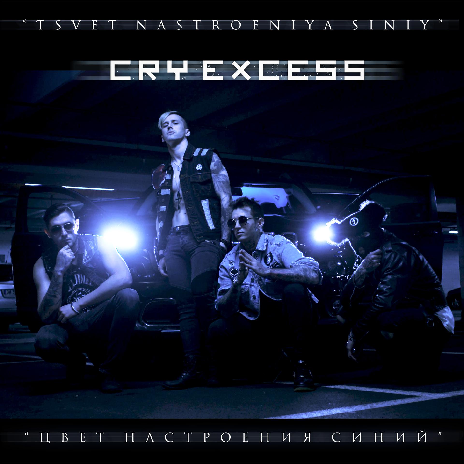 Постер альбома Tsvet Nastroeniya Sinyi - Single