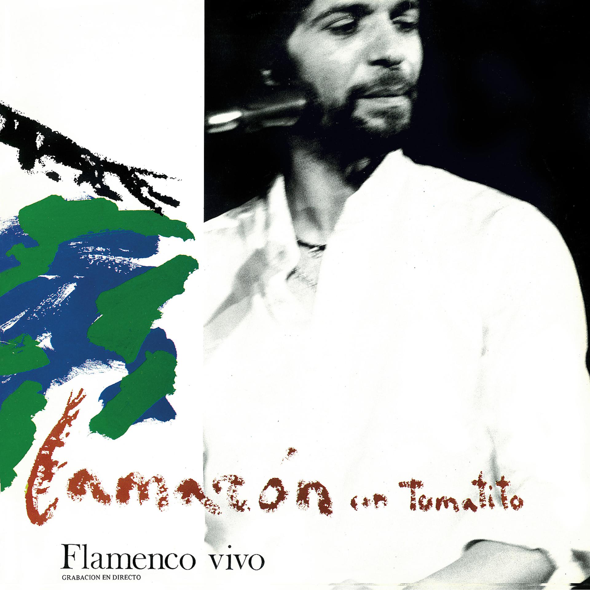 Постер альбома Flamenco Vivo