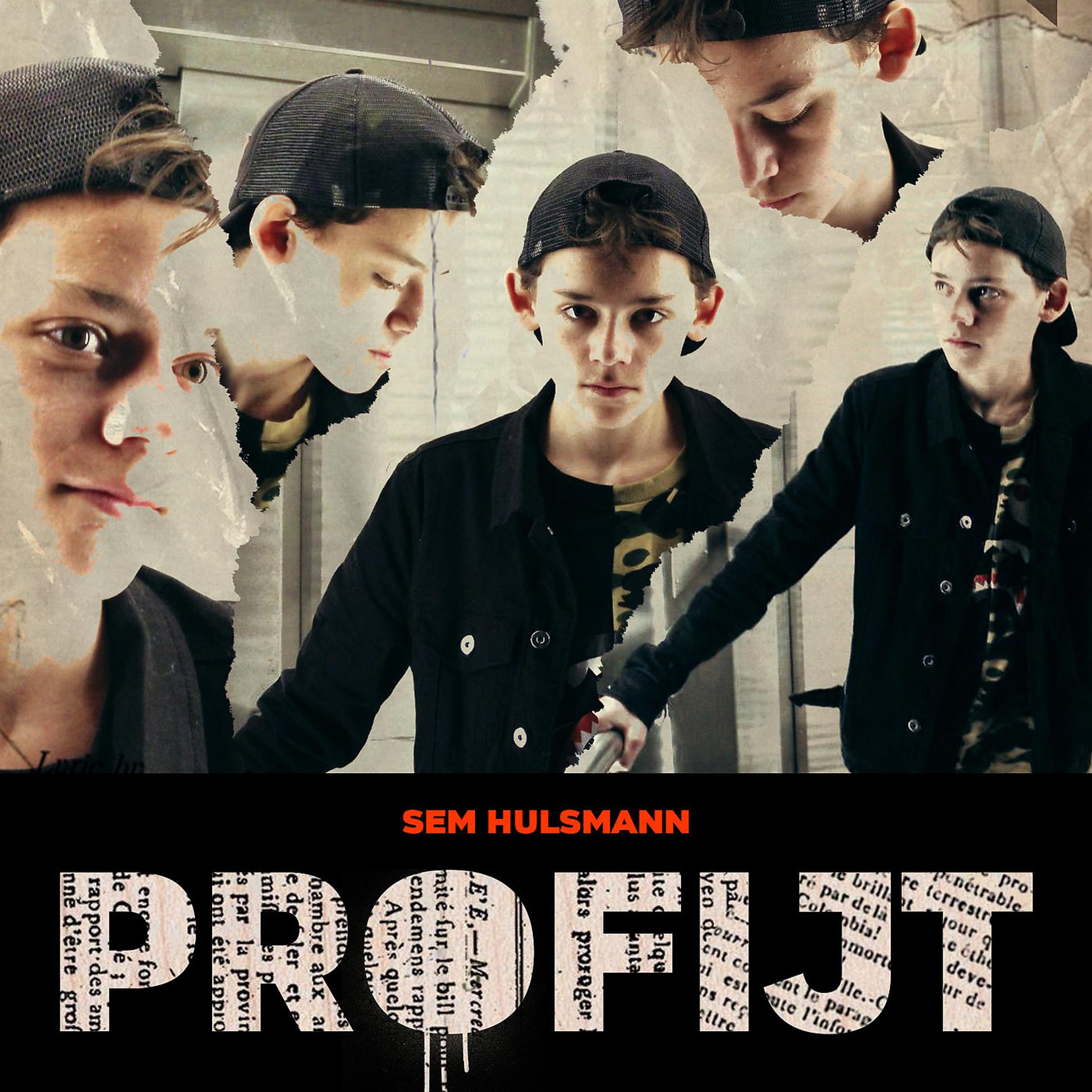 Постер альбома Profijt