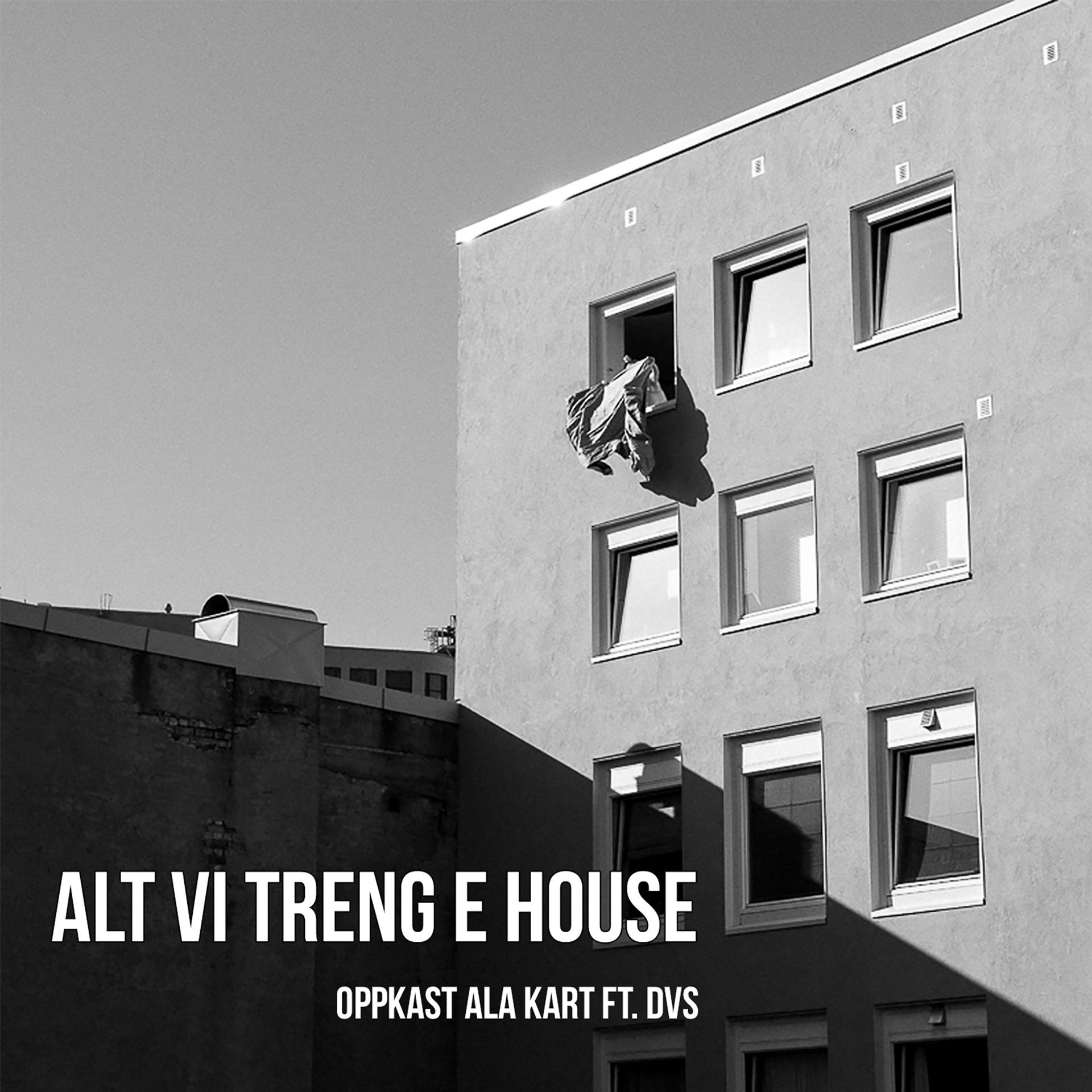 Постер альбома Alt vi treng e house