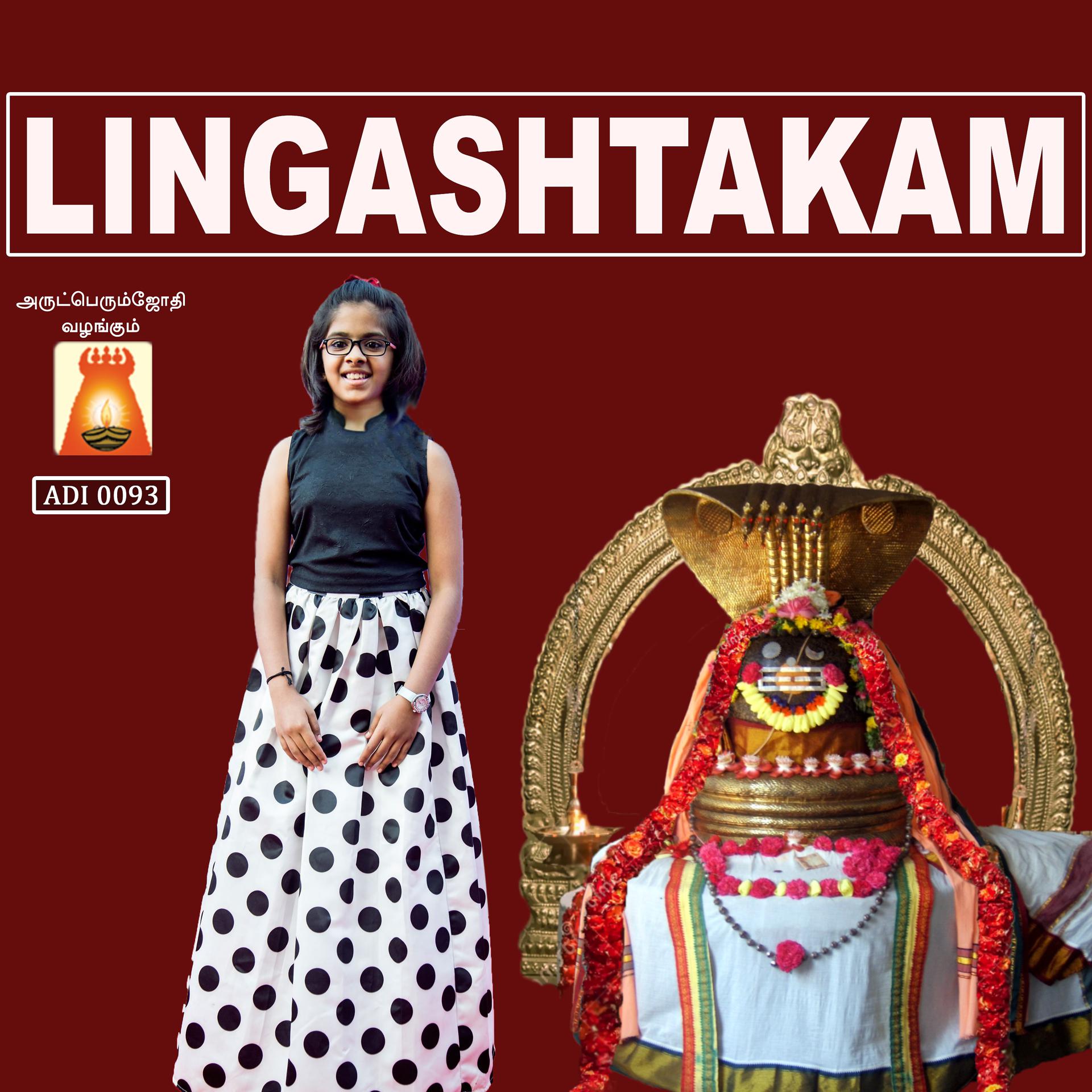 Постер альбома Lingashtakam - Single