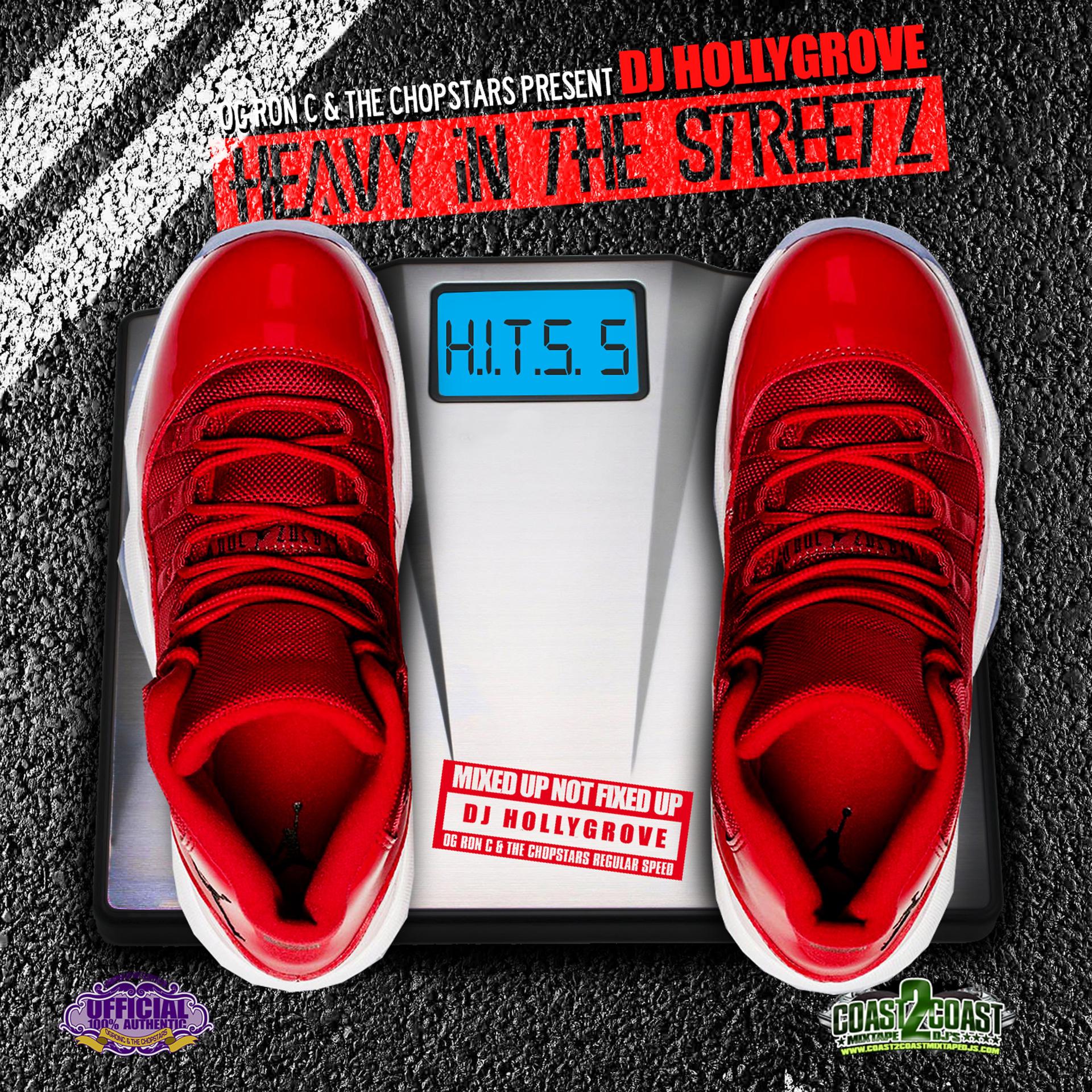 Постер альбома Heavy in the Streetz: Hits 5