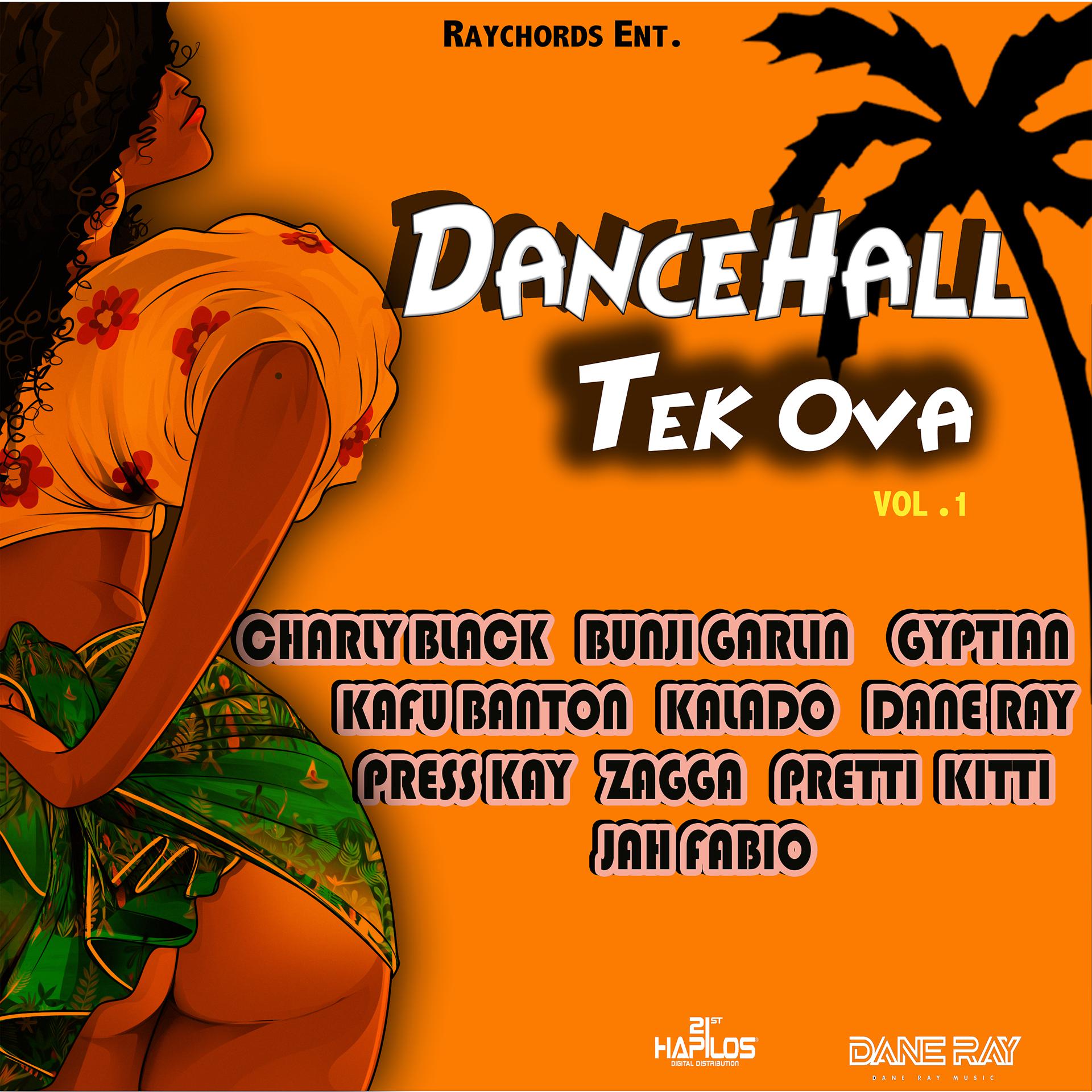 Постер альбома Dancehall Tek Ova, Vol. 1