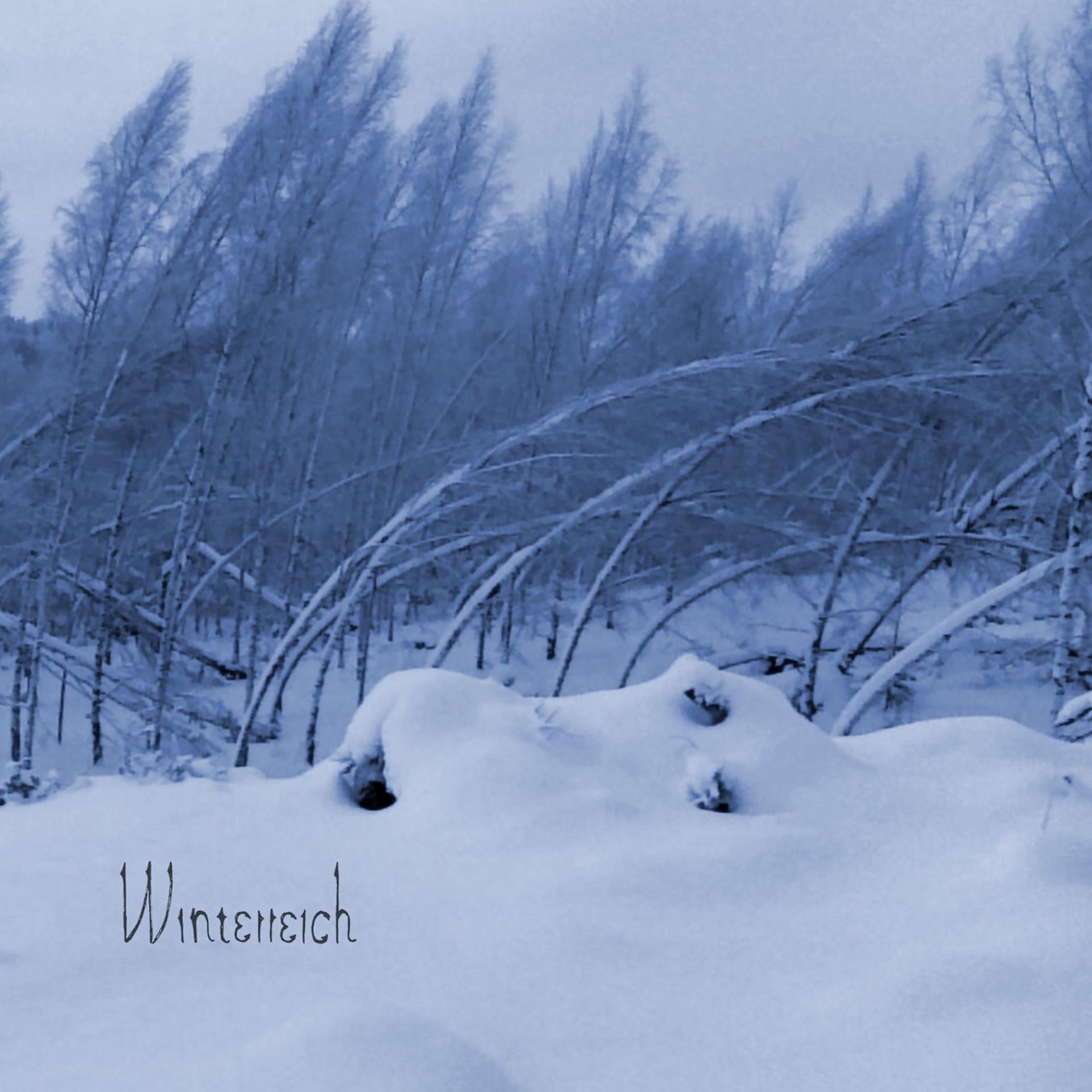 Постер альбома Winterreich