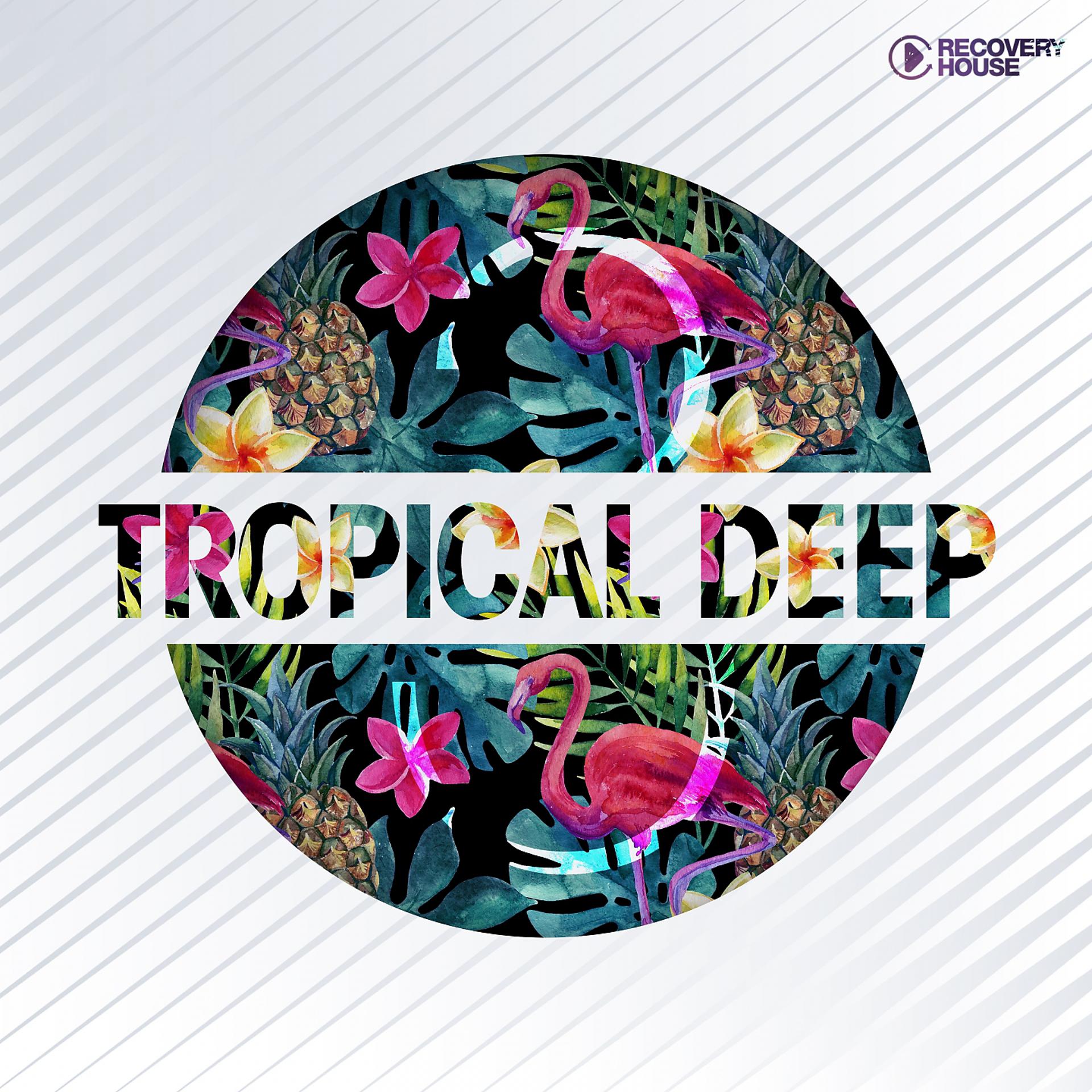 Постер альбома Tropical Deep, Vol. 3