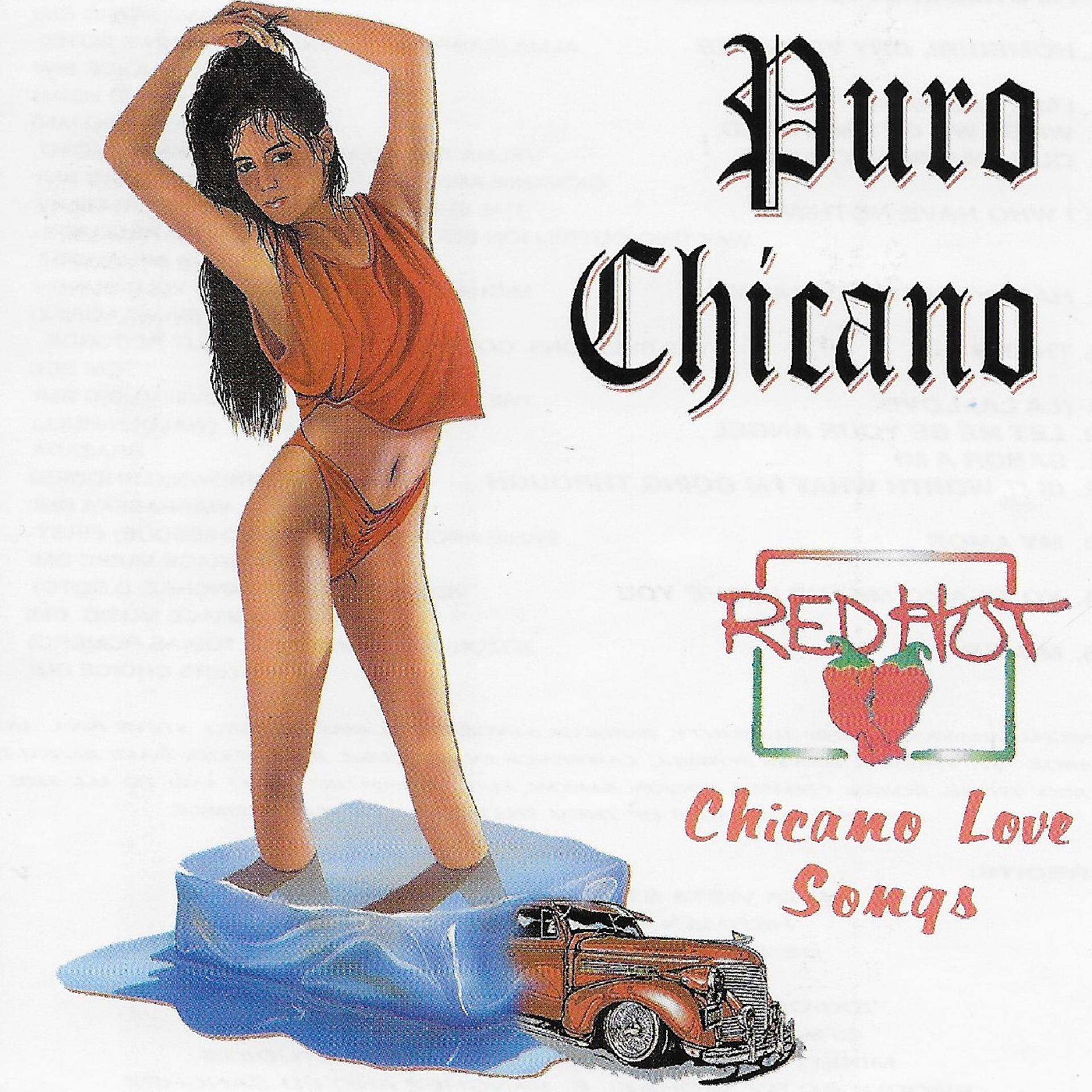 Постер альбома Puro Chicano: Chicano Love Songs