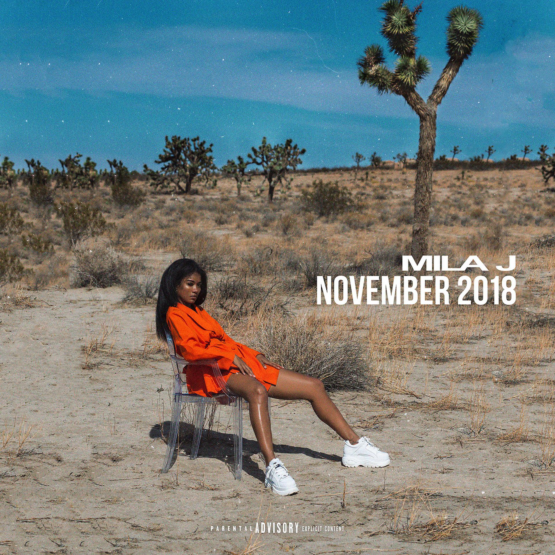 Постер альбома November 2018