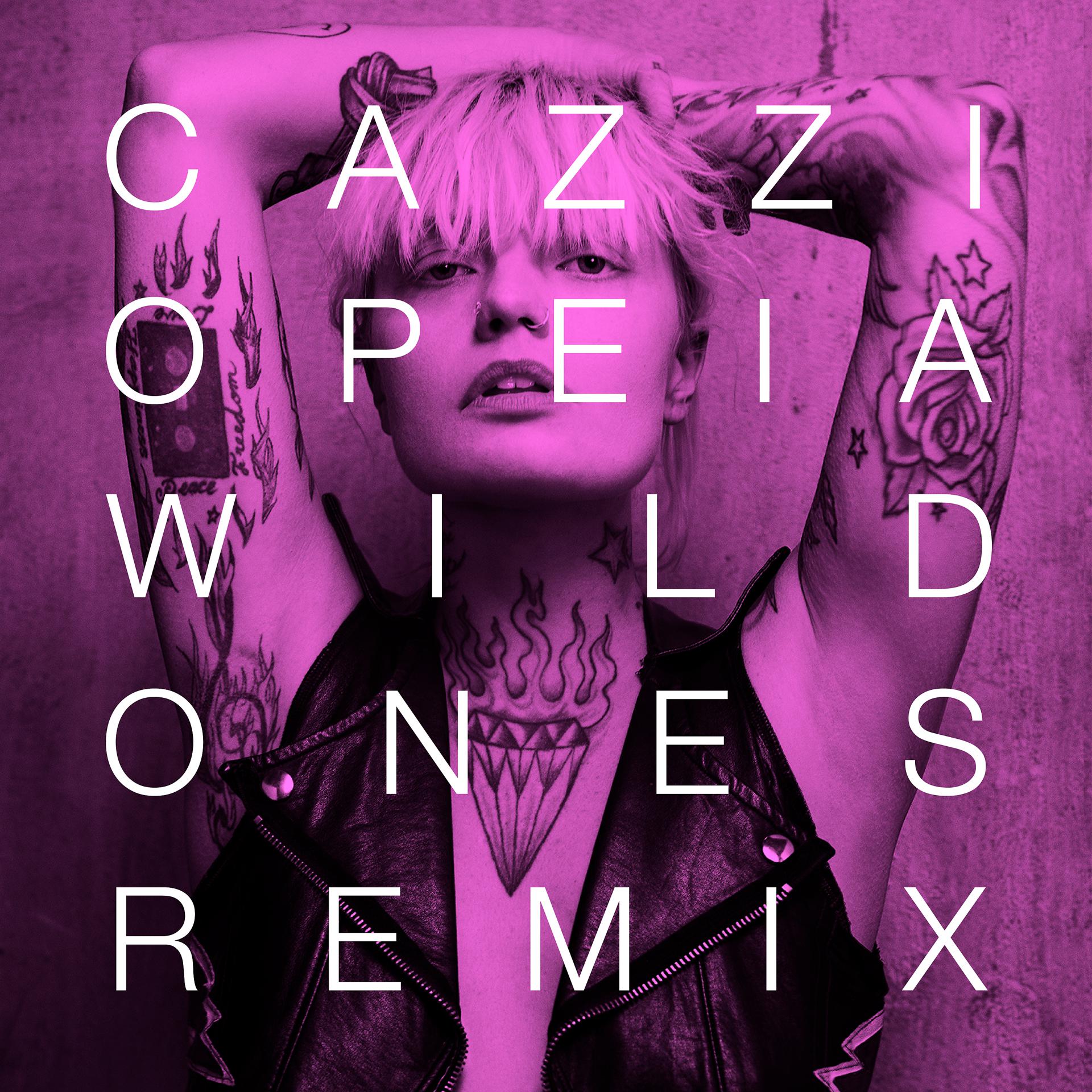 Постер альбома Wild Ones (Remixes)