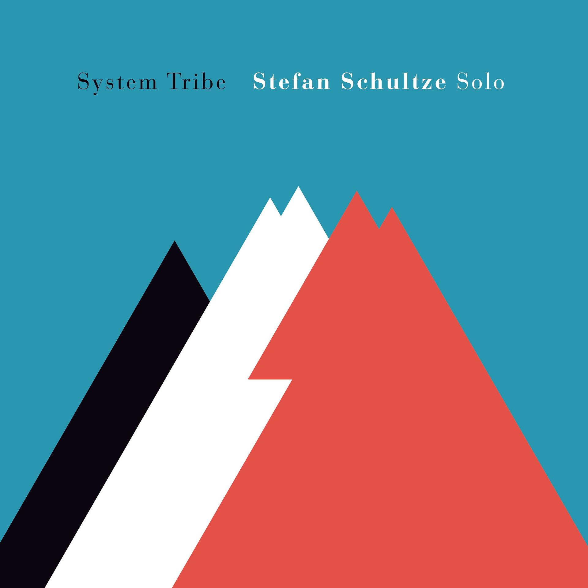 Постер альбома System Tribe
