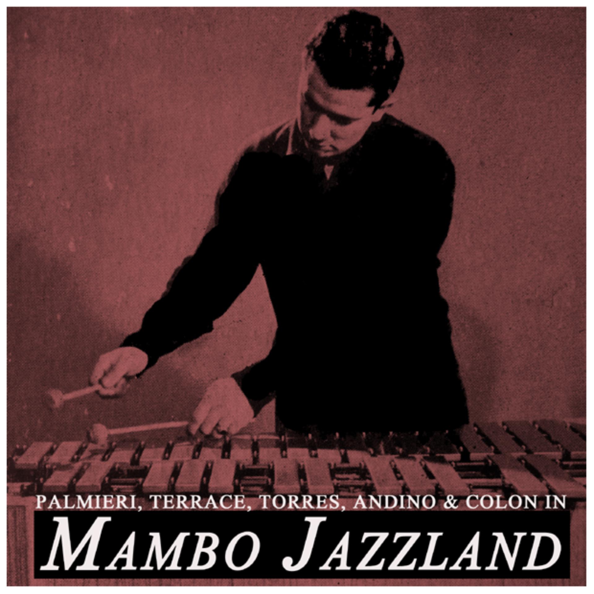 Постер альбома Mambo Jazzland
