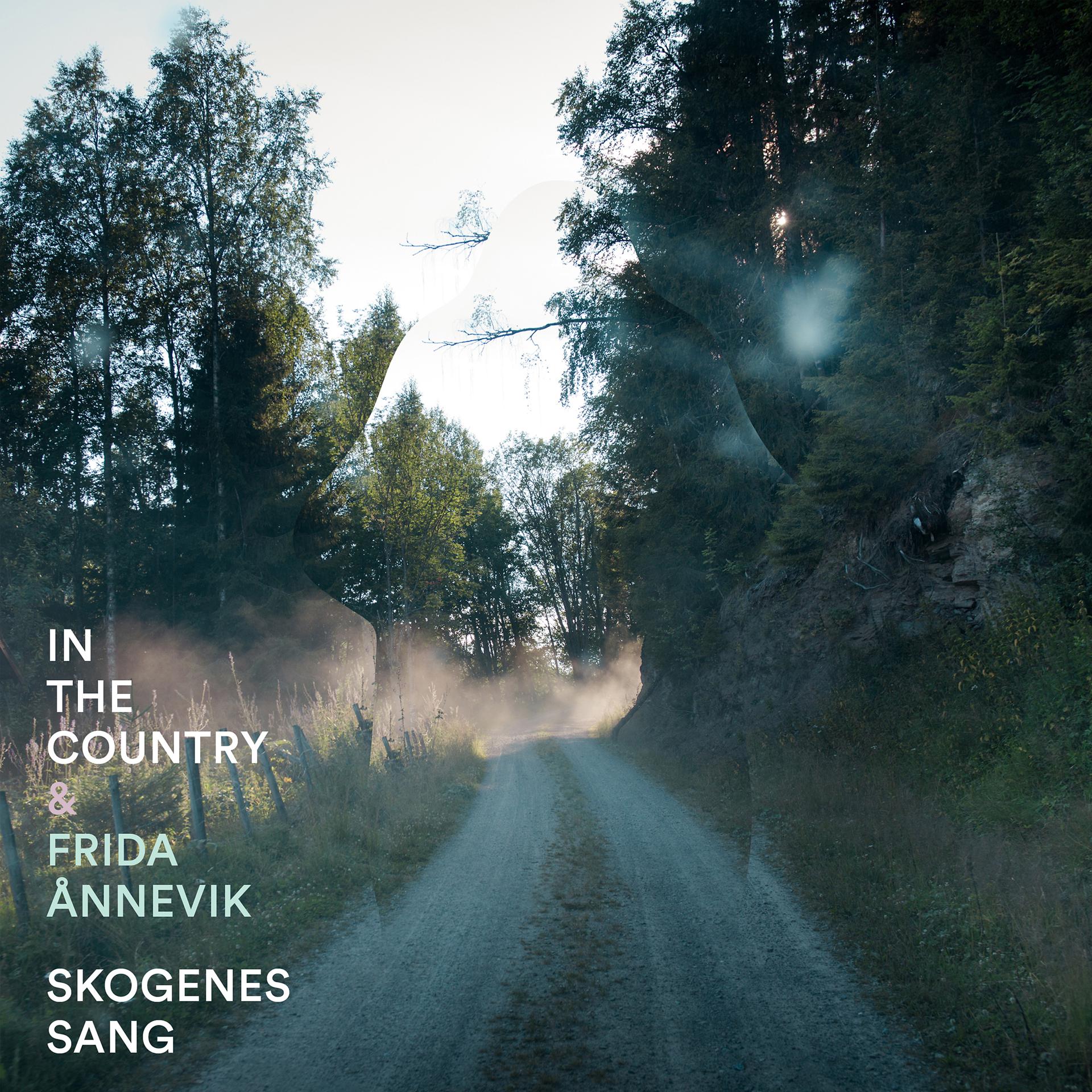 Постер альбома Skogenes sang