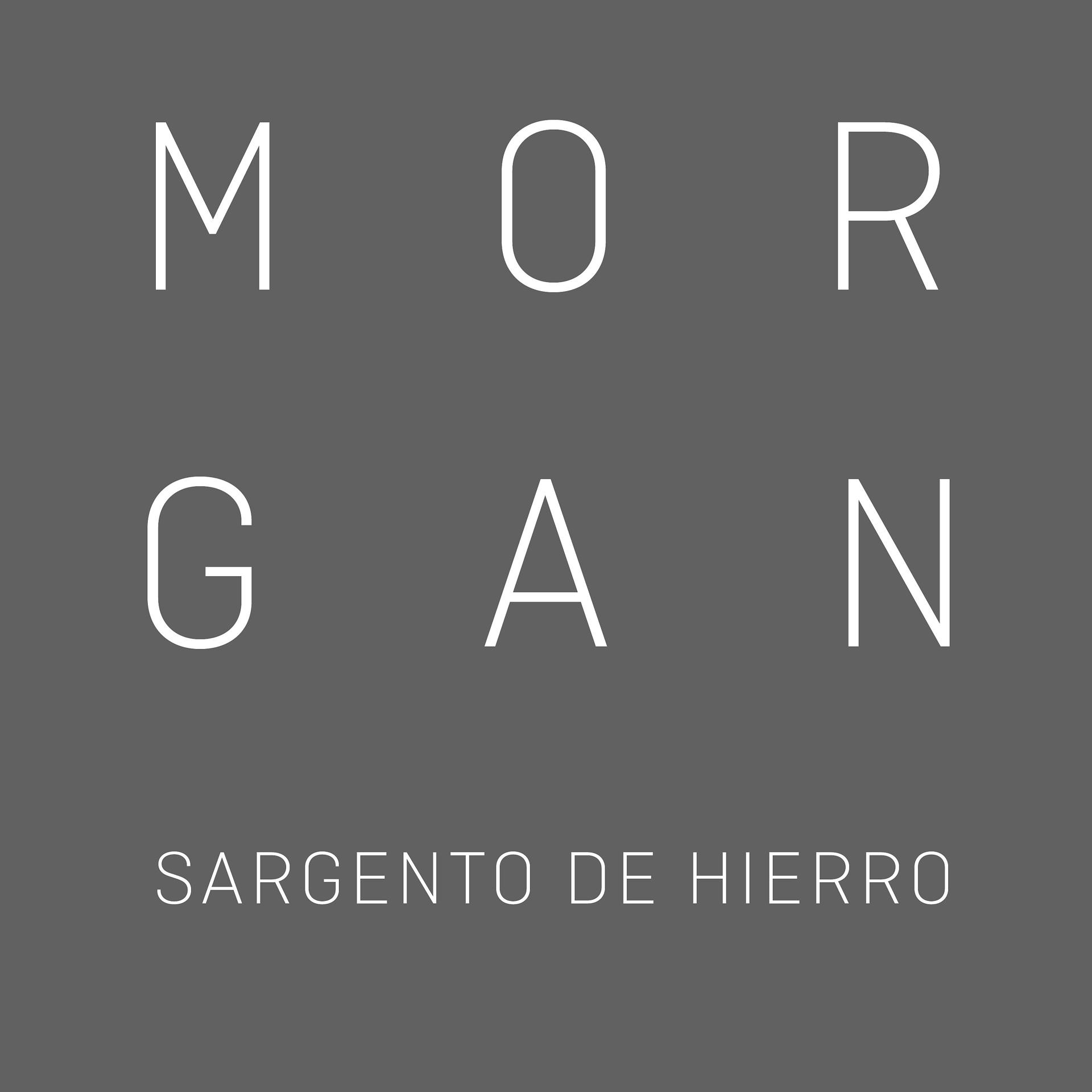 Постер альбома Sargento de Hierro