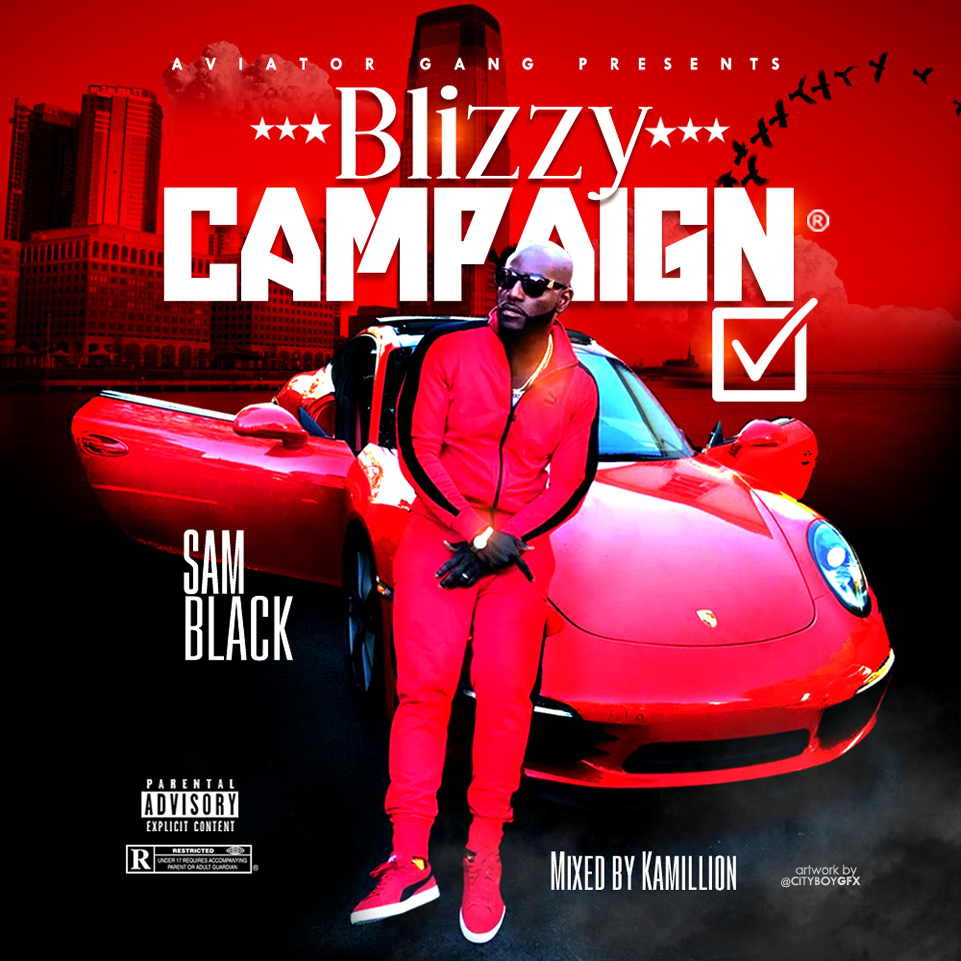 Постер альбома Blizzy Campaign