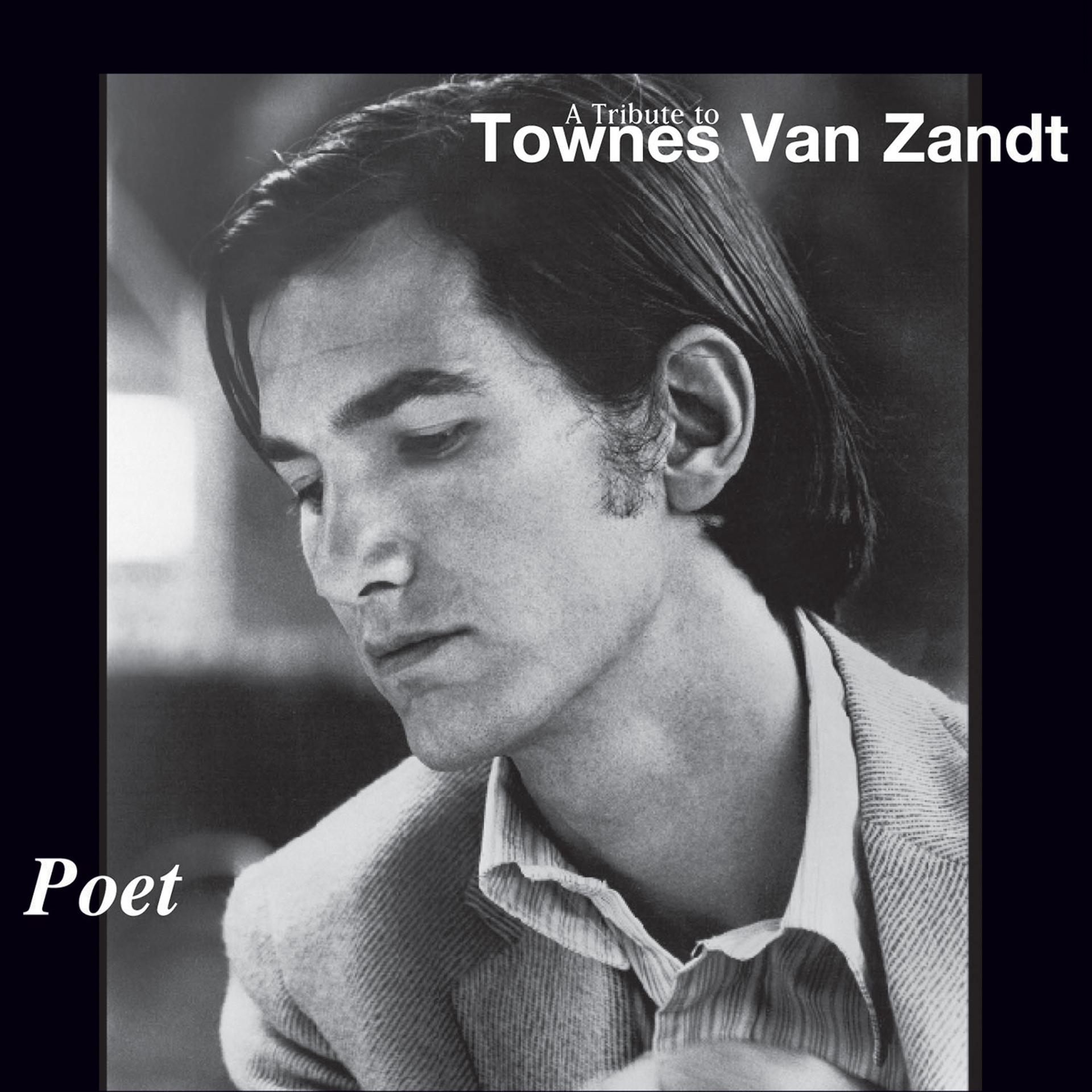 Постер альбома Poet: A Tribute to Townes Van Zandt