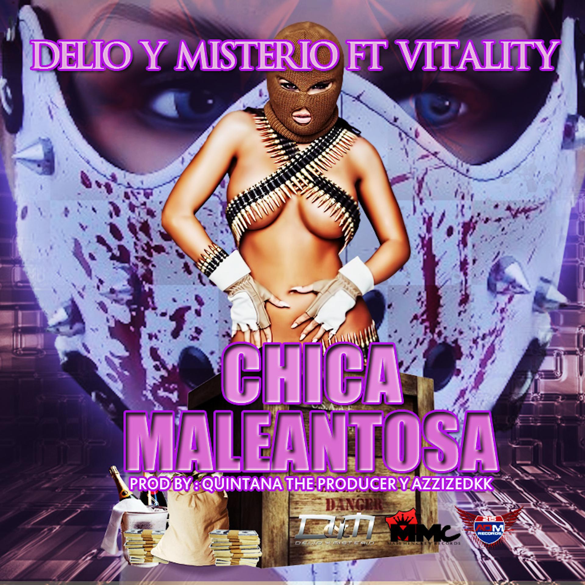 Постер альбома Chica Maleantosa