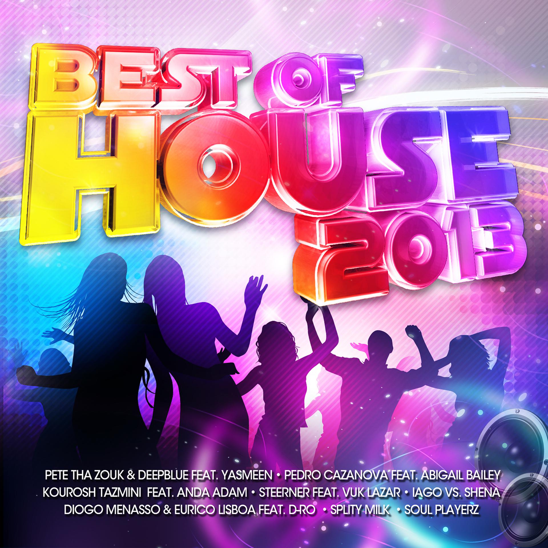Постер альбома Best of House 2013