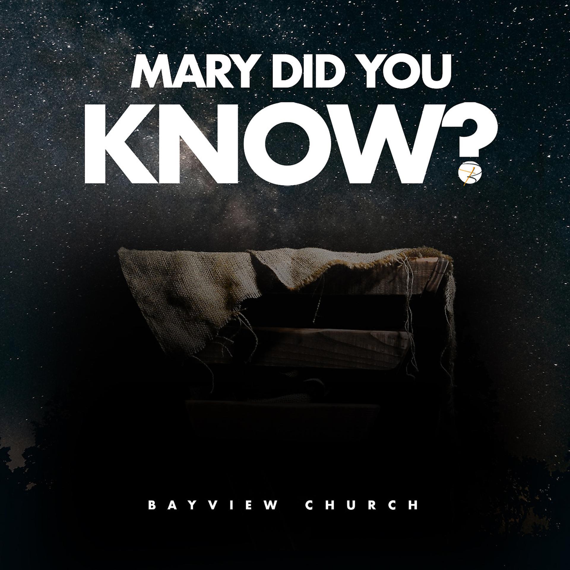 Постер альбома Mary Did You Know