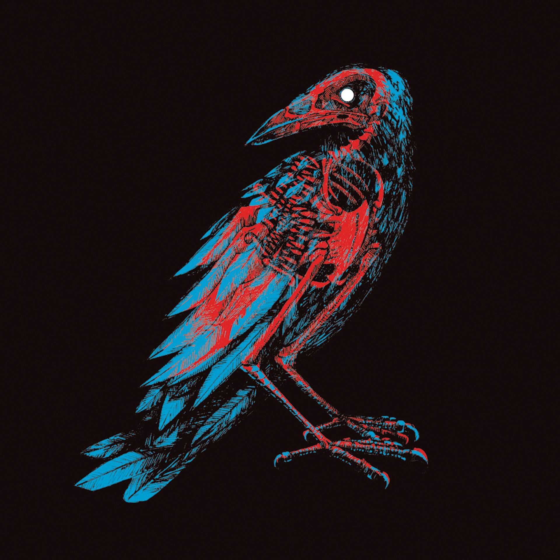 Постер альбома Pájaros y Cuchillos