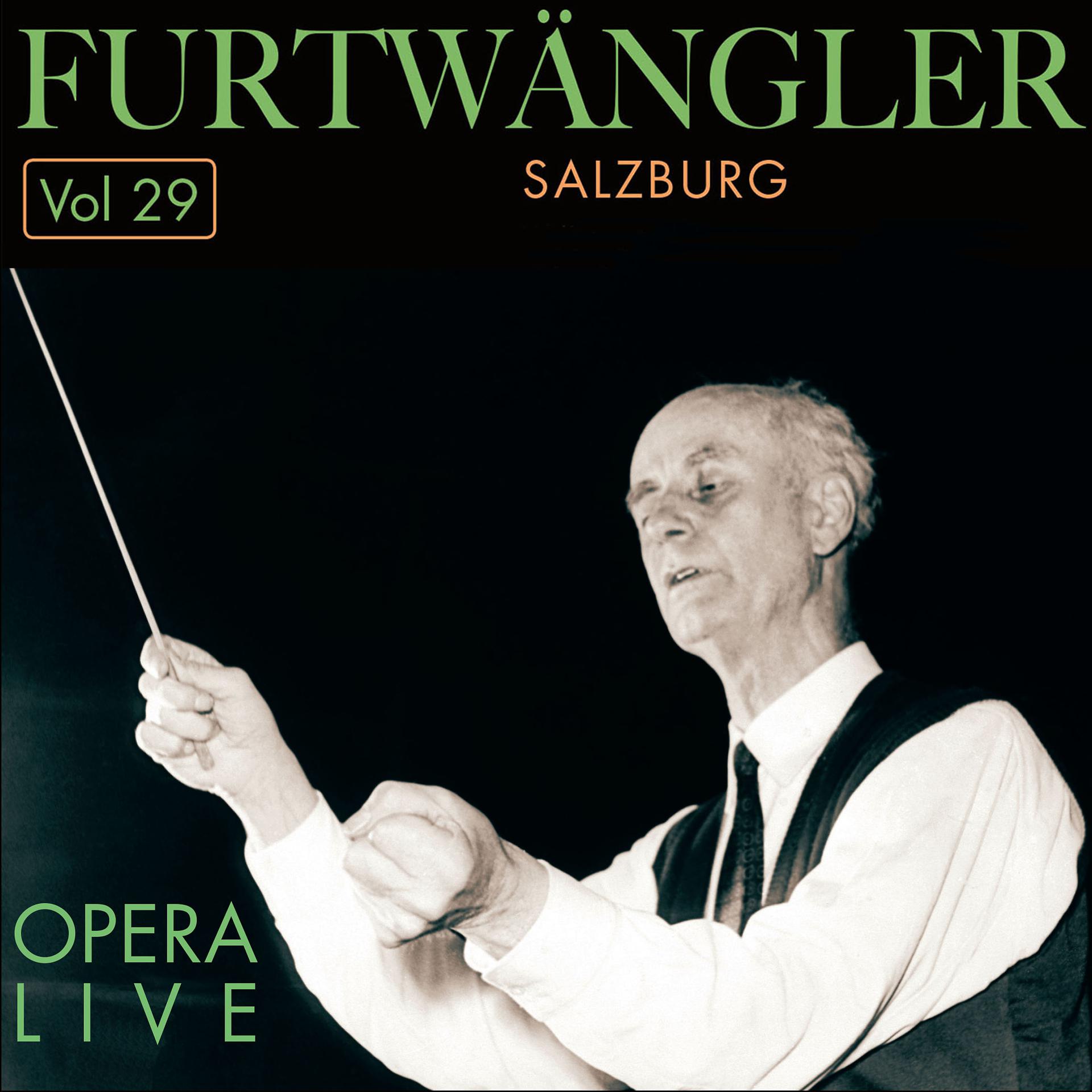 Постер альбома Furtwängler - Opera  Live, Vol.29