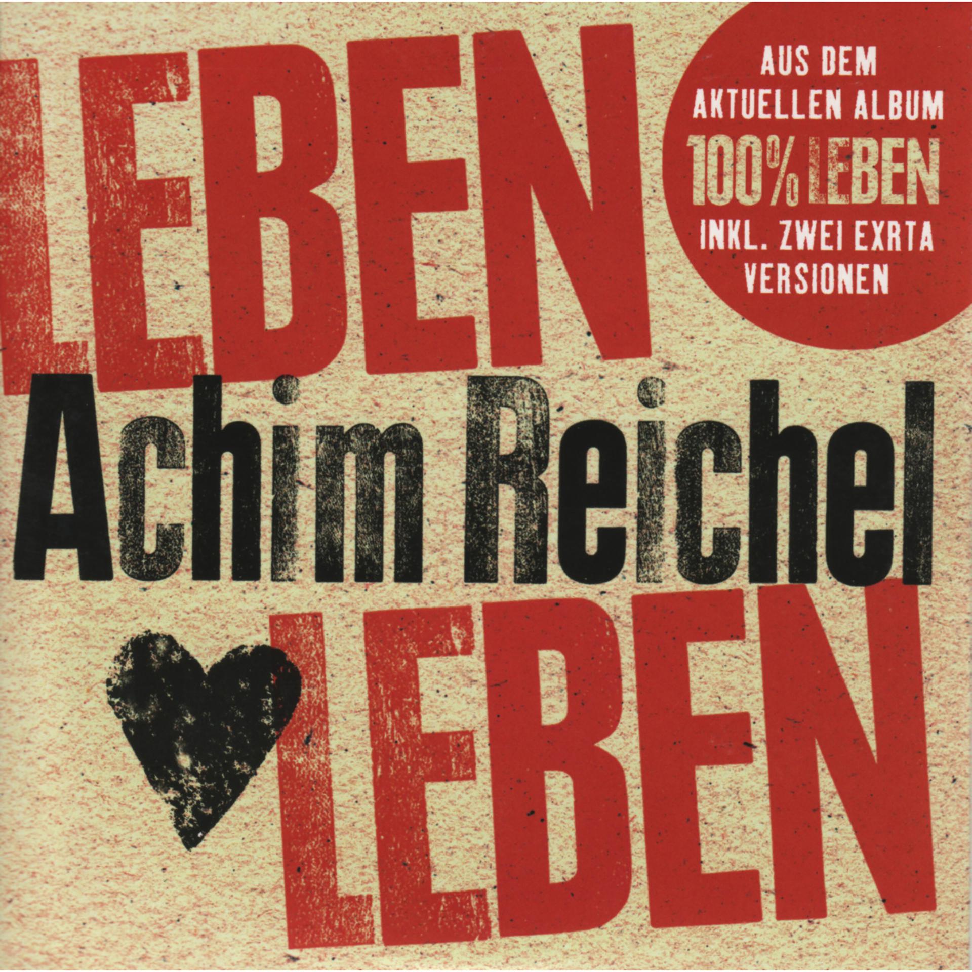 Постер альбома Leben leben (Remixes)