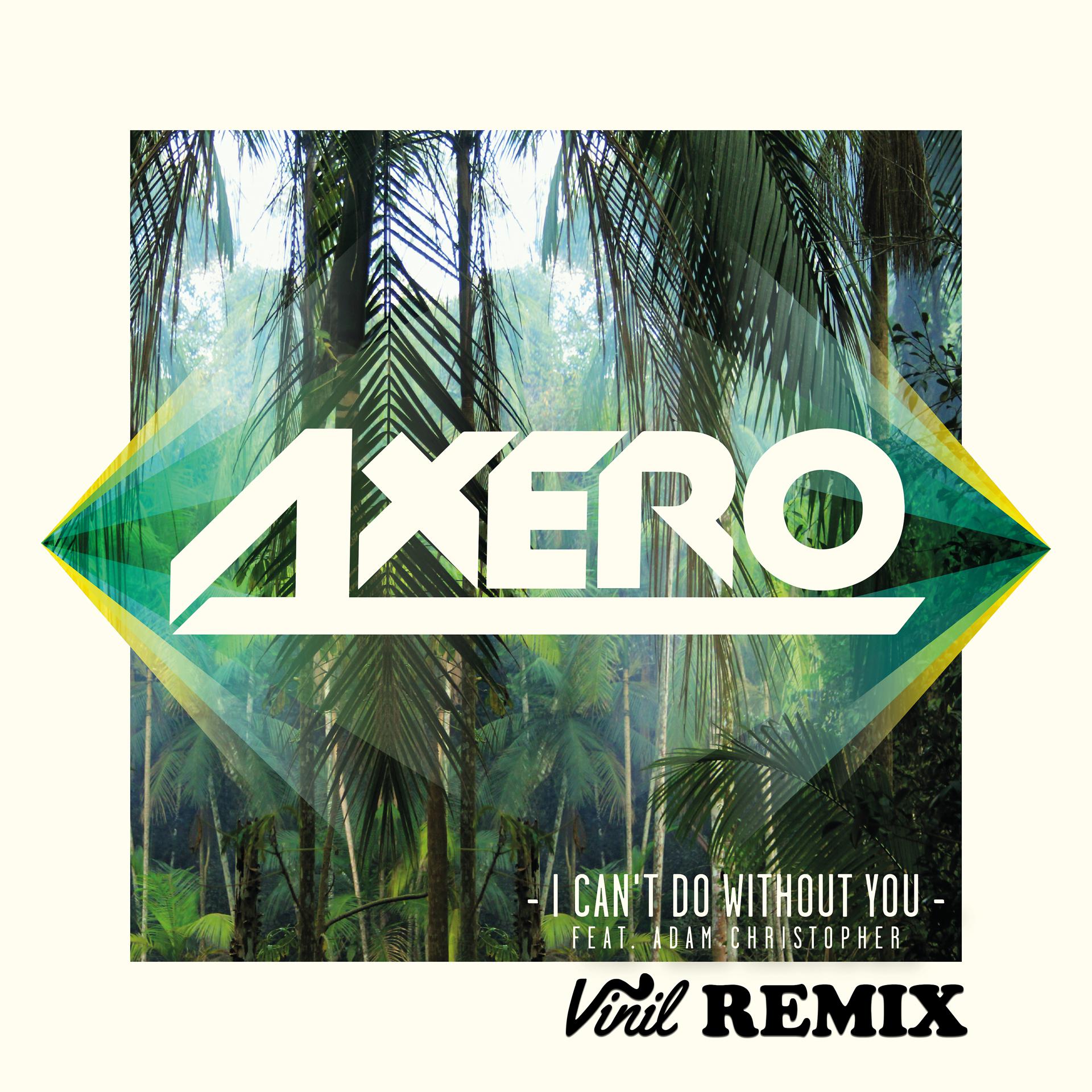 Постер альбома I Can't Do Without You (feat. Adam Christopher) [Vinil Remix]