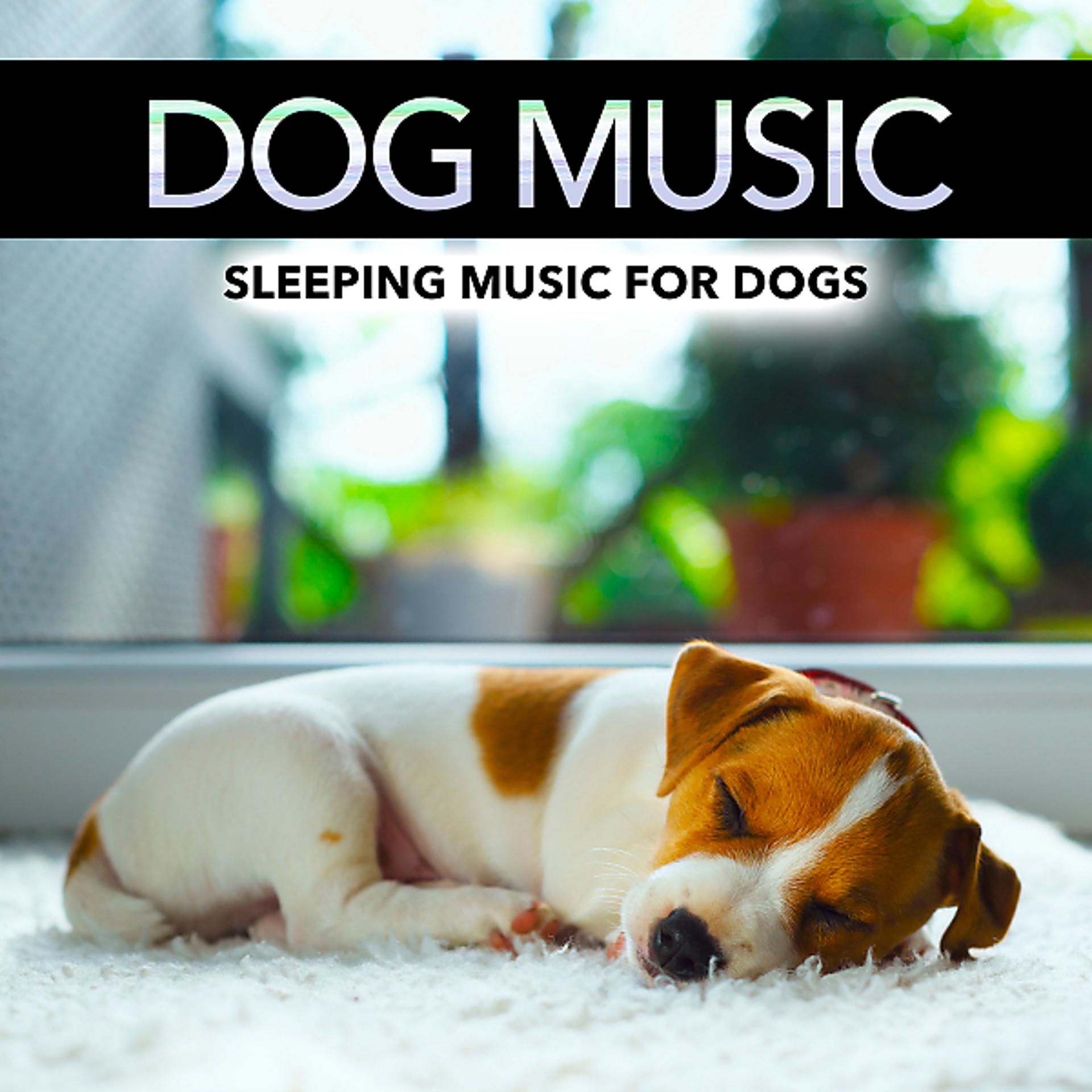 Постер альбома Sleeping Music For Dogs