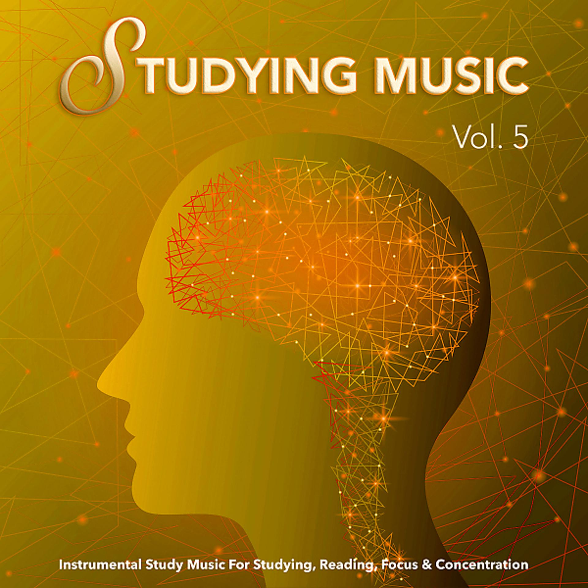 Постер альбома Studying Music: Instrumental Study Music For Studying, Reading, Focus & Concentration, Vol. 5