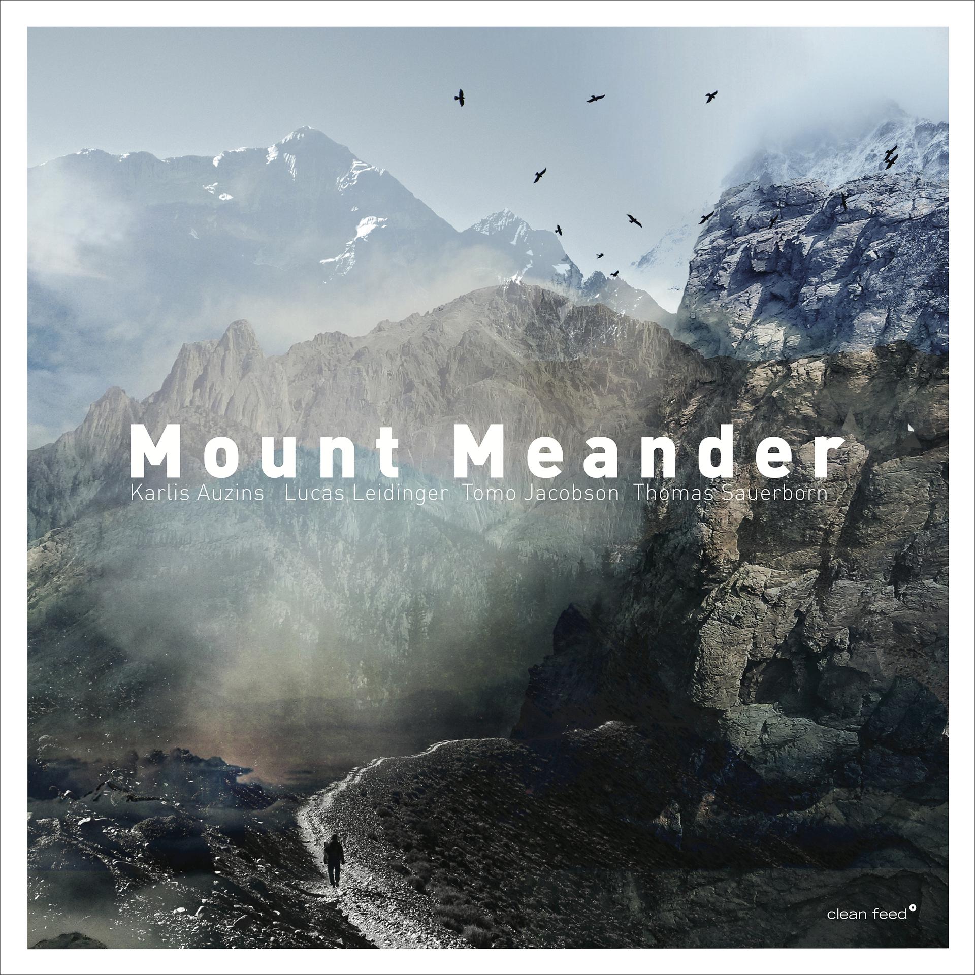 Постер альбома Mount Meander