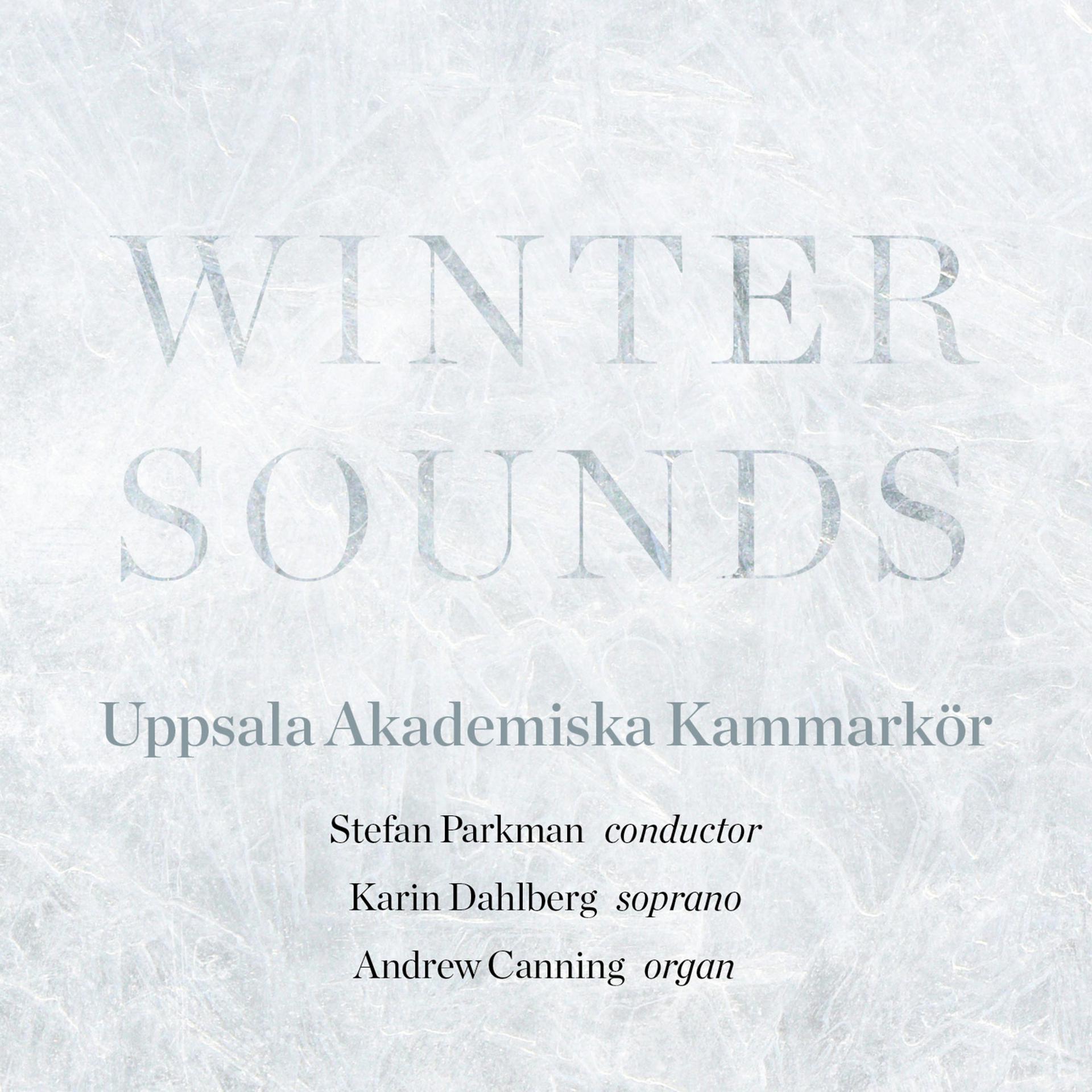 Постер альбома Winter Sounds