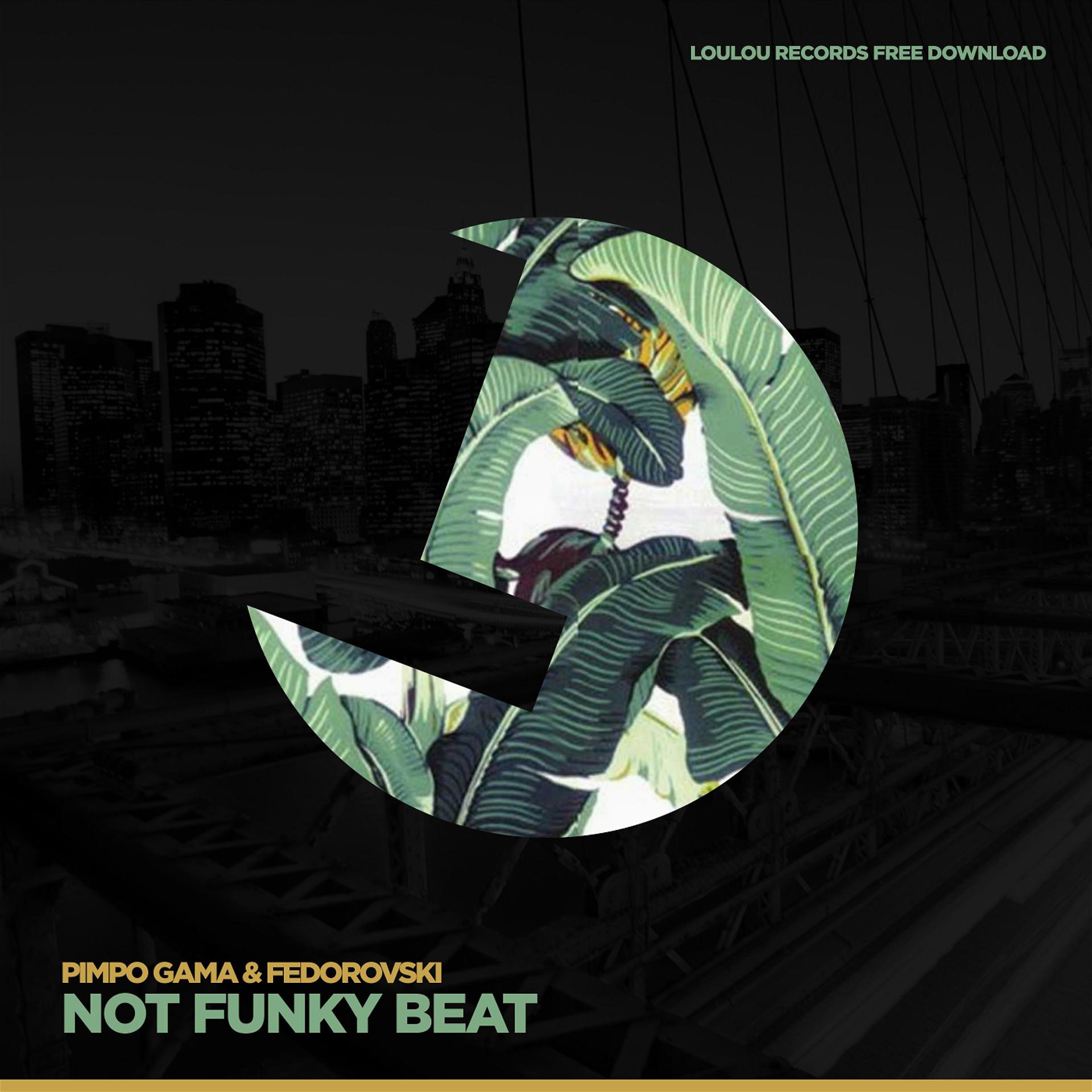 Постер альбома Not Funky Beat