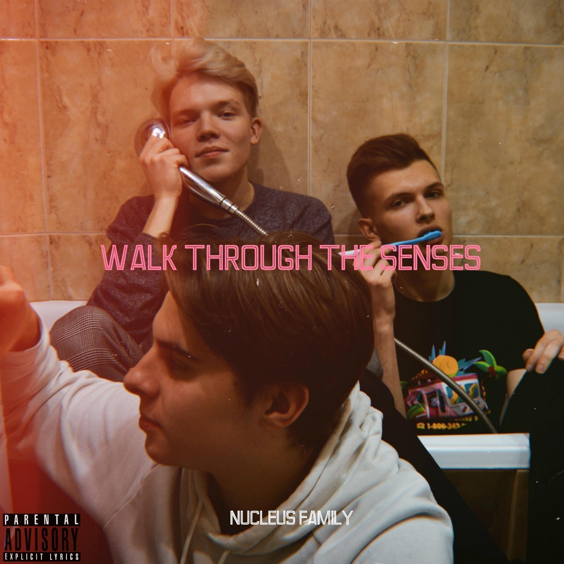 Постер альбома Walk Through the Senses