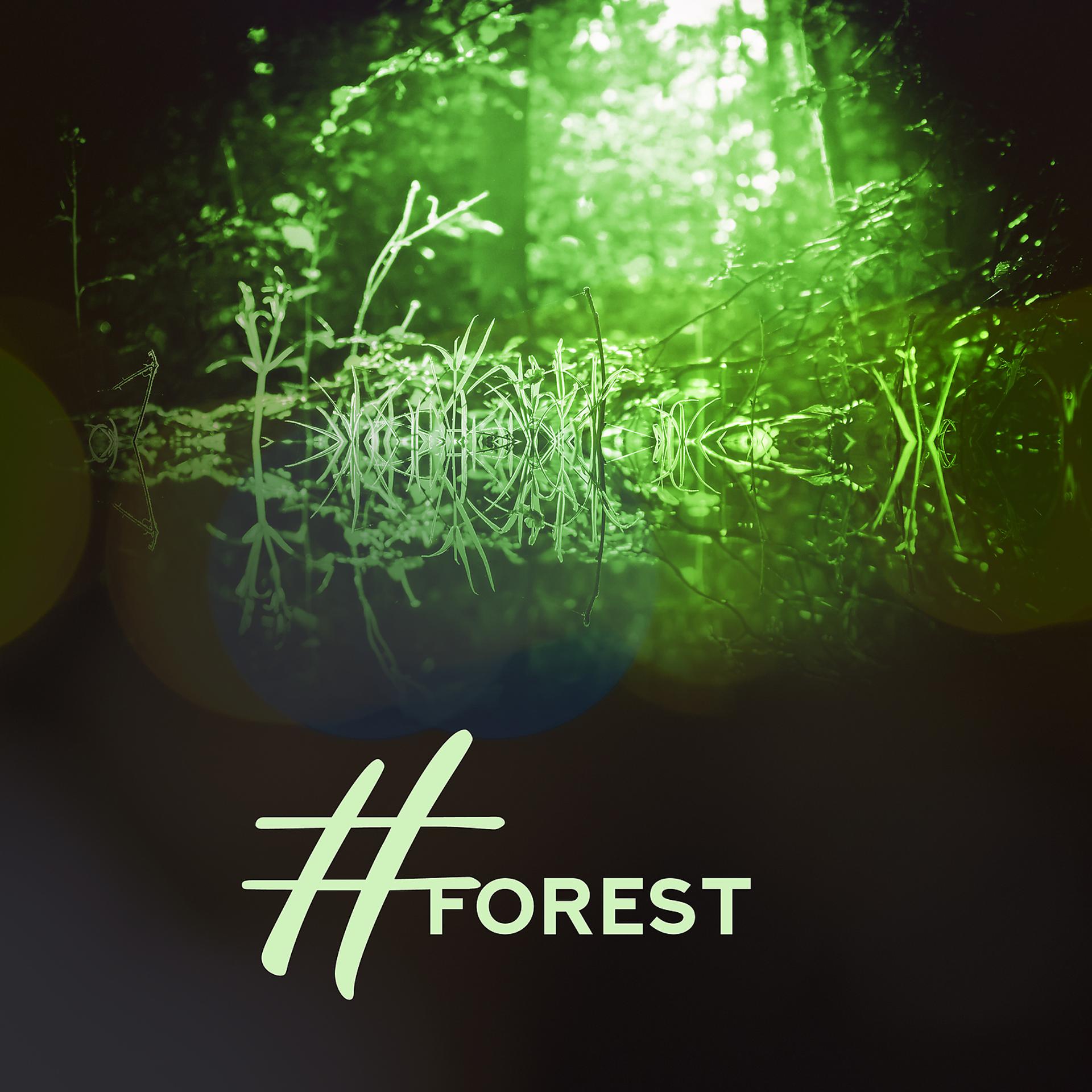 Постер альбома #Forest